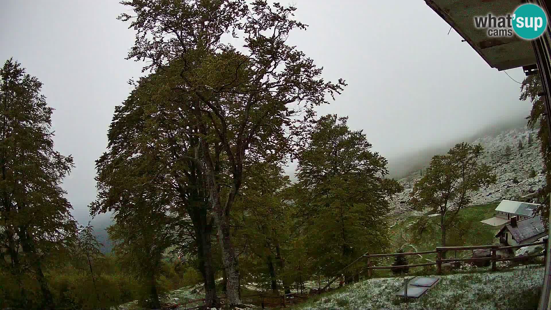 Cámara en vivo de la cabaña de montaña Planina Razor (1315) | vista hacia Tolminski Migovec