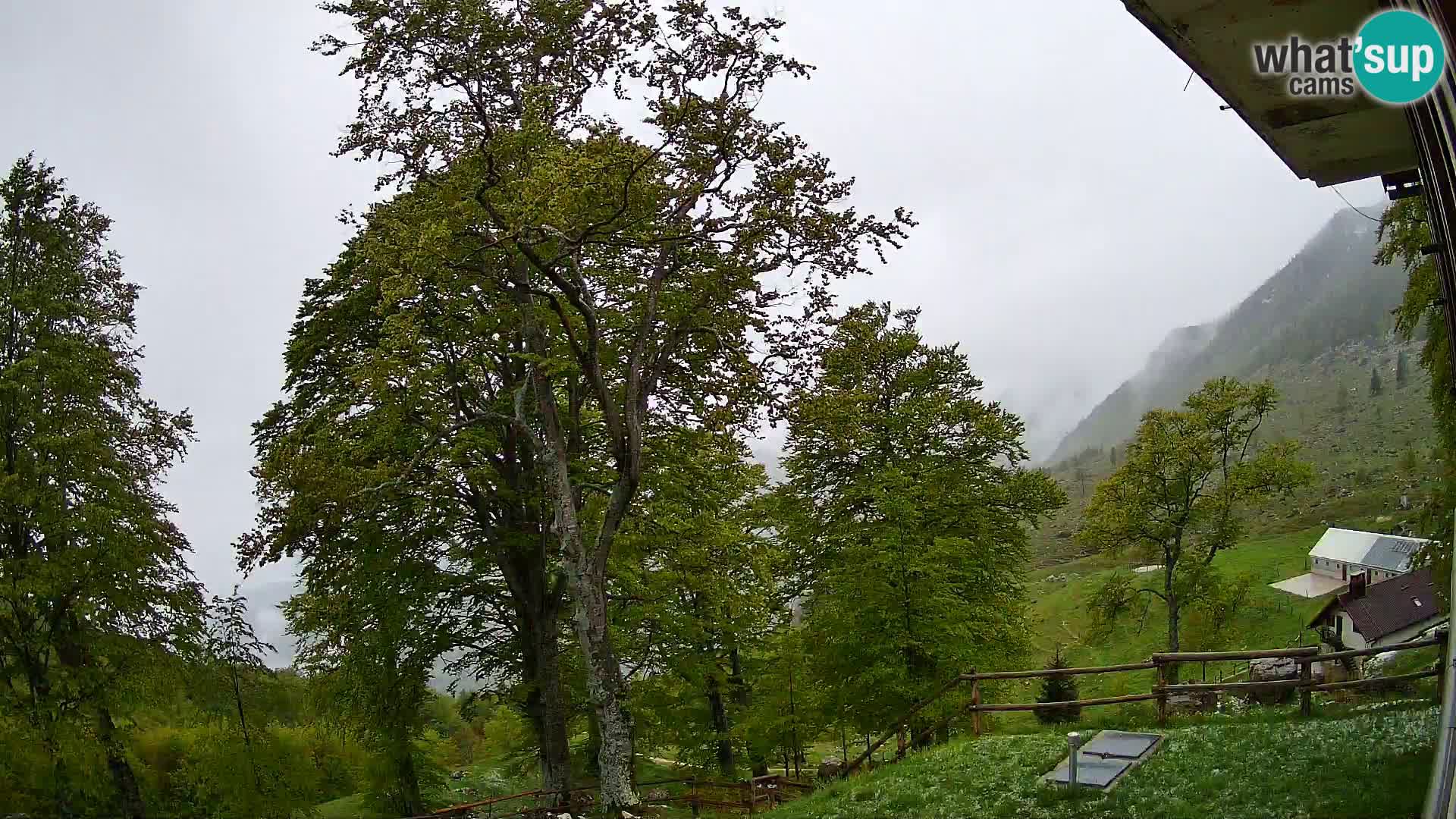 Cámara en vivo de la cabaña de montaña Planina Razor (1315) | vista hacia Tolminski Migovec