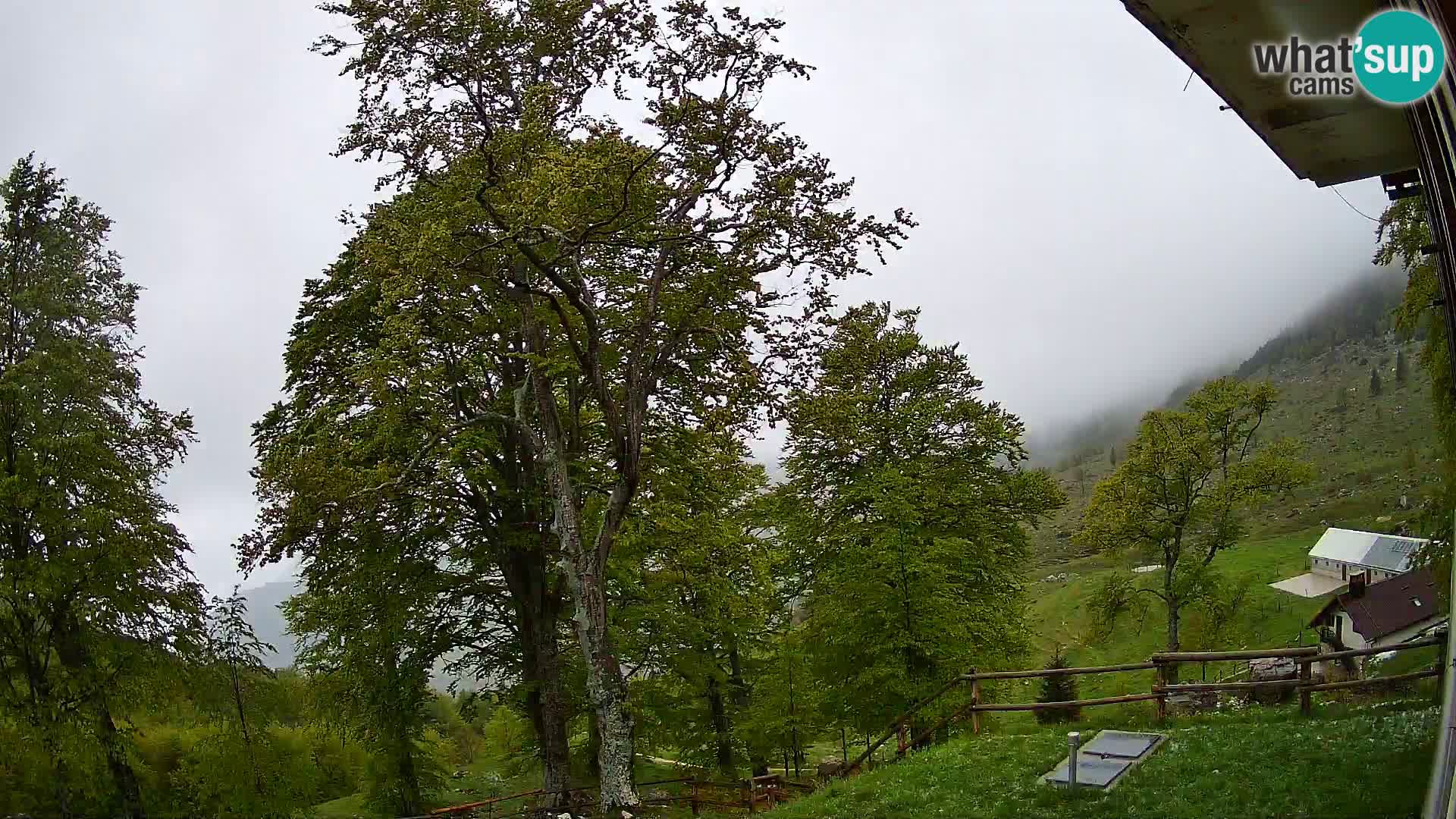 Planina Razor Bergütte Webcam (1315) | Blick auf Tolminski Migovec