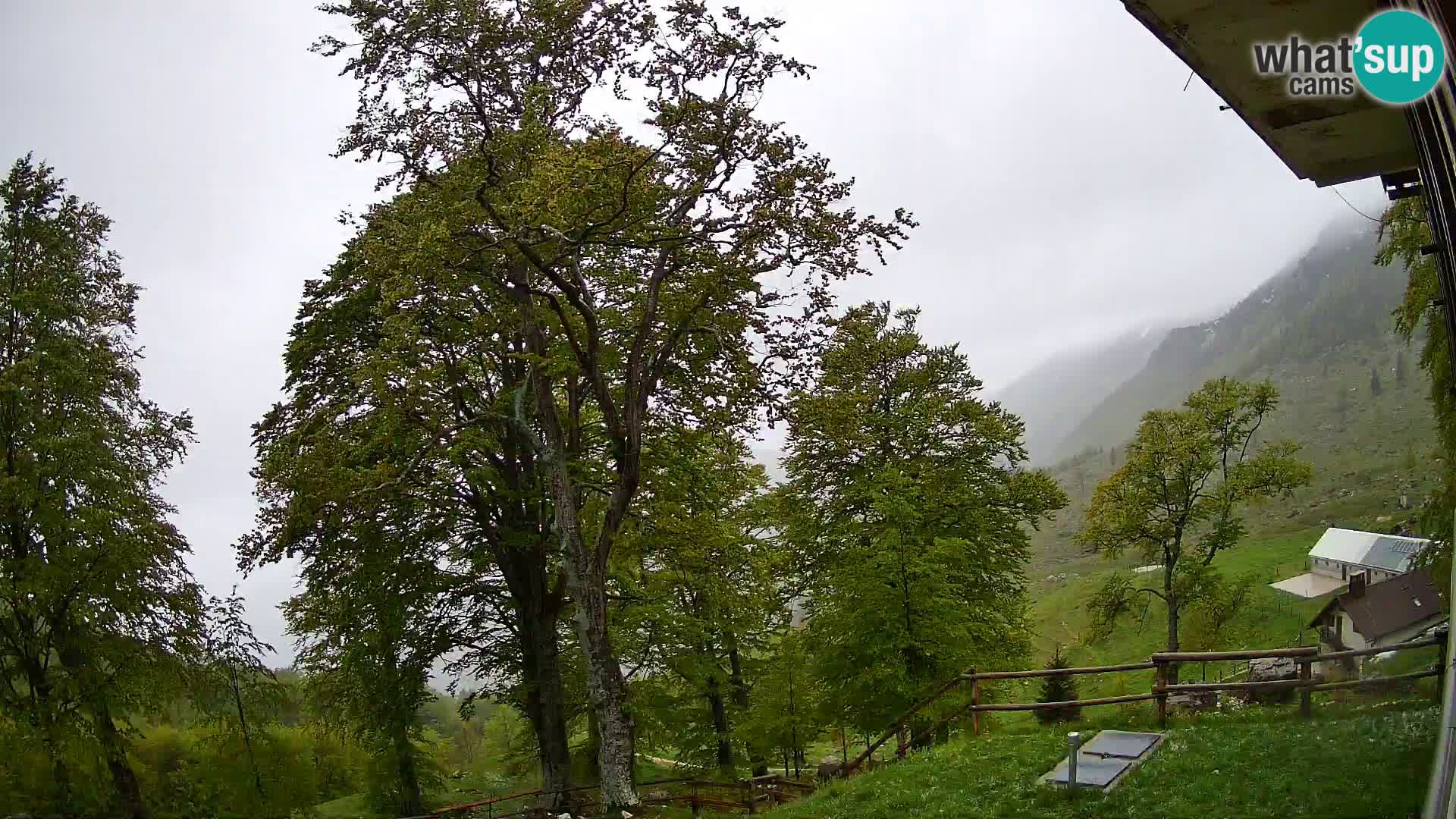 Planina Razor Bergütte Webcam (1315) | Blick auf Tolminski Migovec