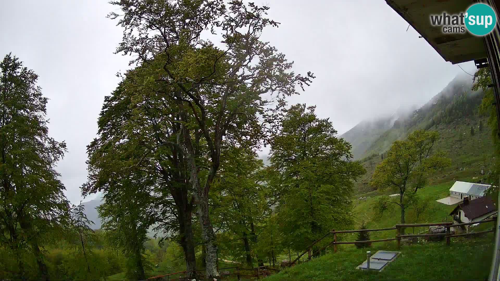 Planina Razor Bergütte Webcam (1315) | Blick auf Tolminski Migovec