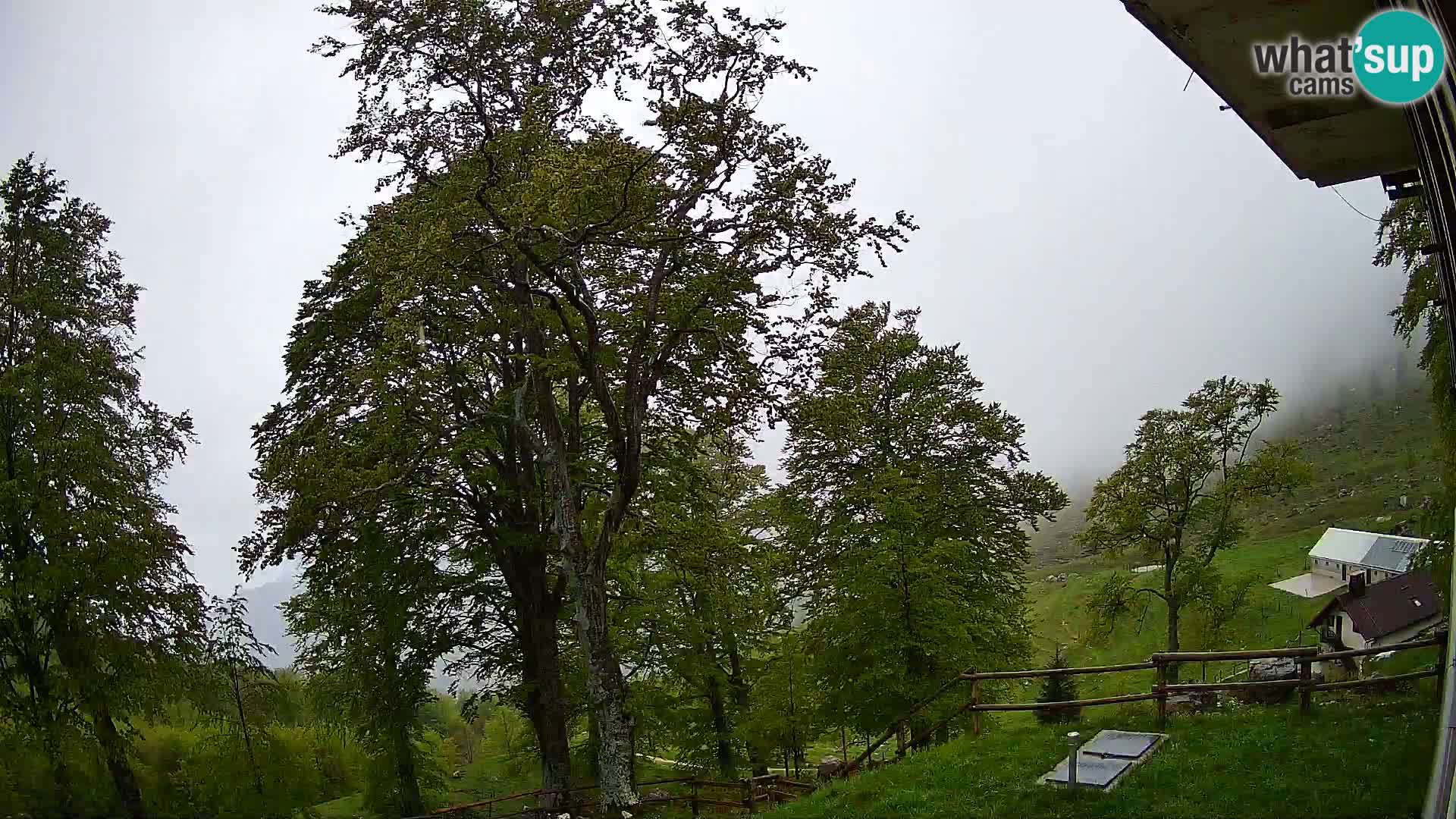 Planina Razor Bergütte Webcam (1315) | Blick auf Tolminski Migovec