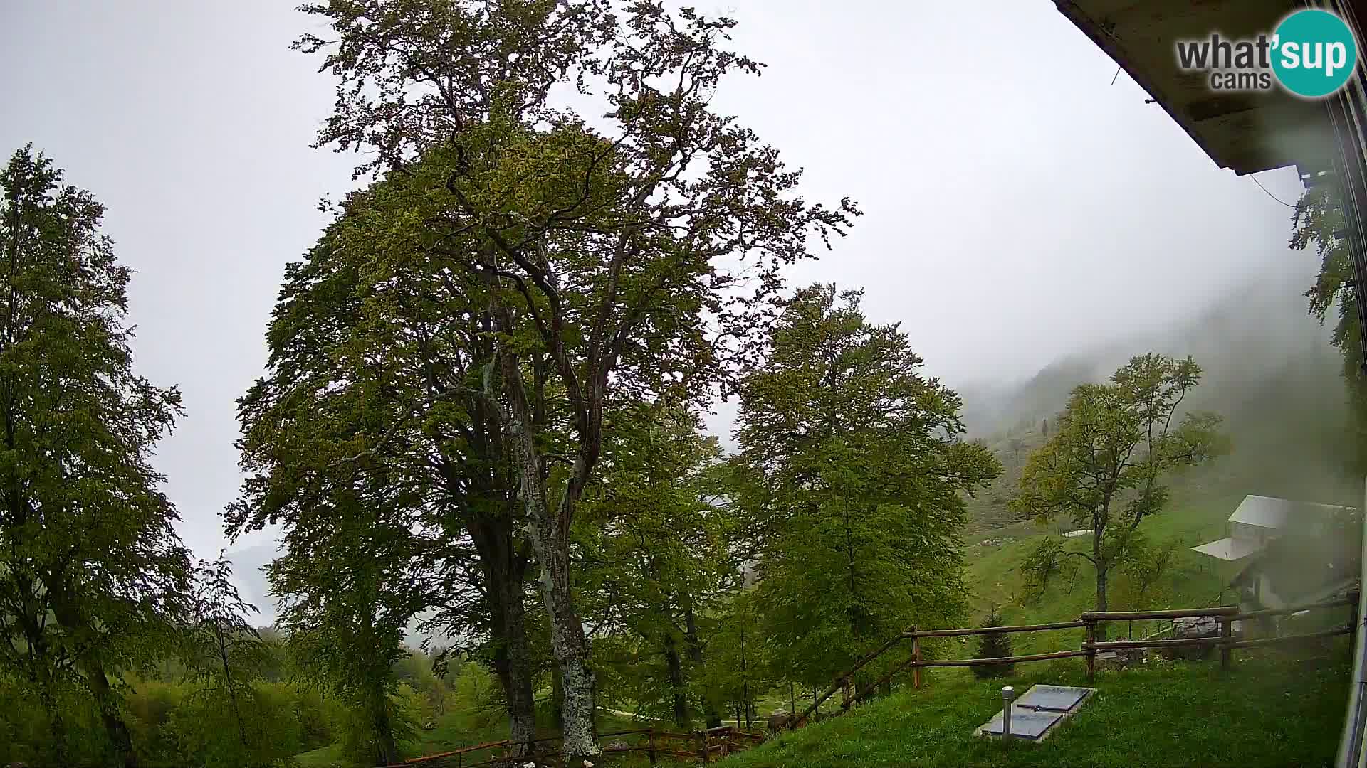 Baita di montagna Planina Razor webcam (1315) | vista su Tolminski Migovec