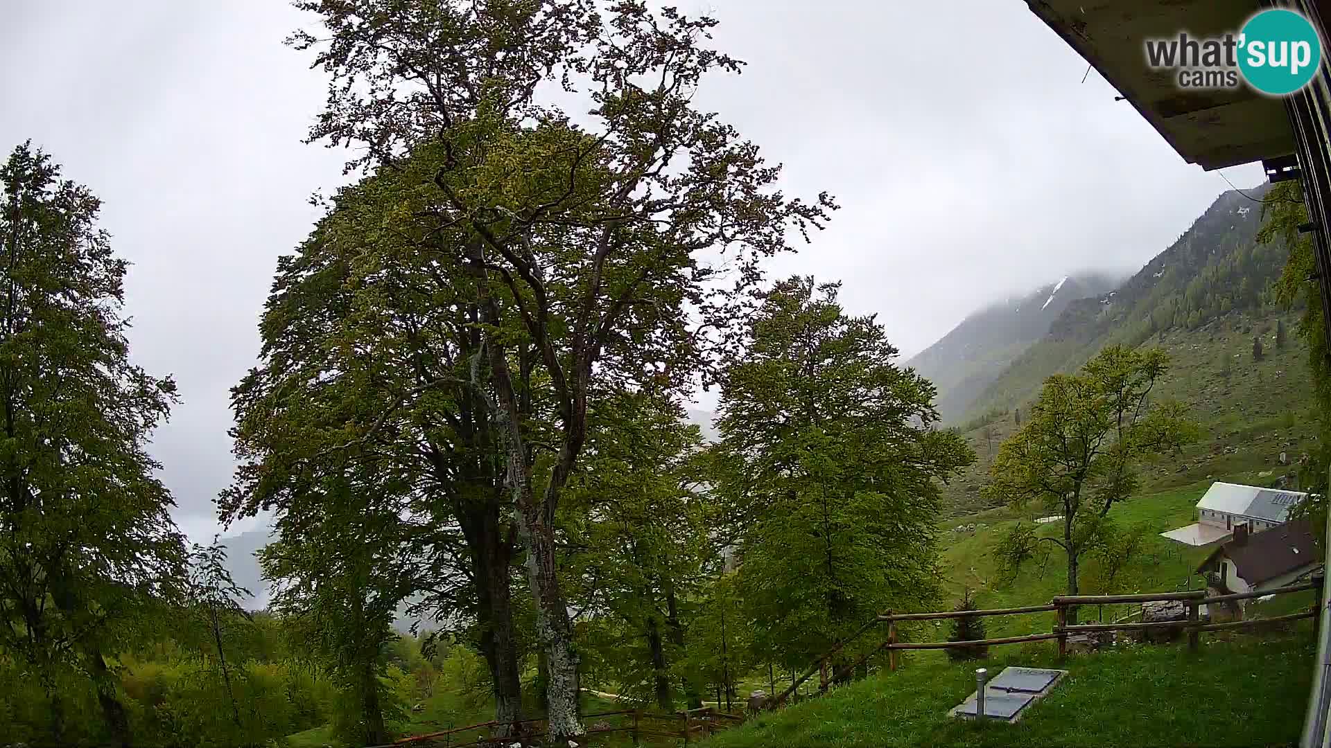 Planina Razor Mountain Hut live cam (1315) | view to Tolminski Migovec