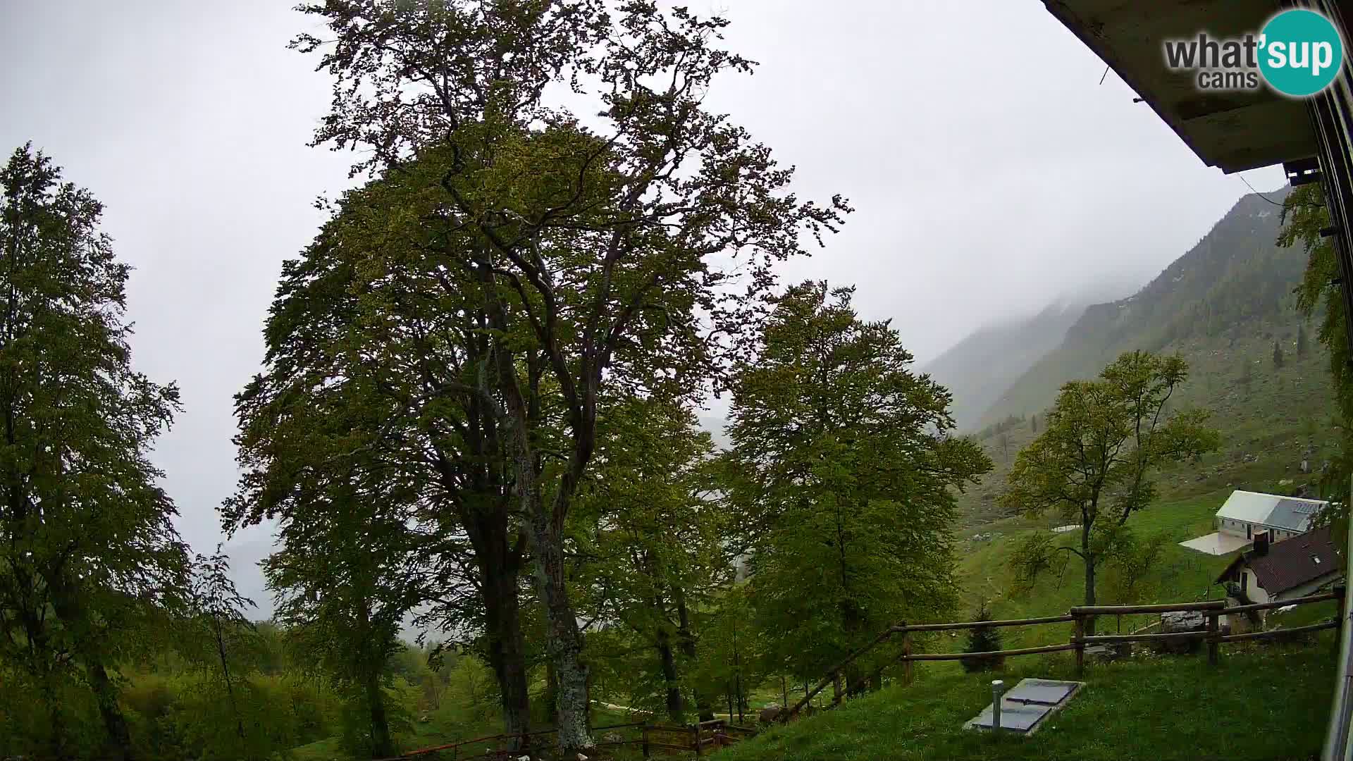 Planina Razor Bergütte Webcam (1315) | Blick auf Tolminski Migovec