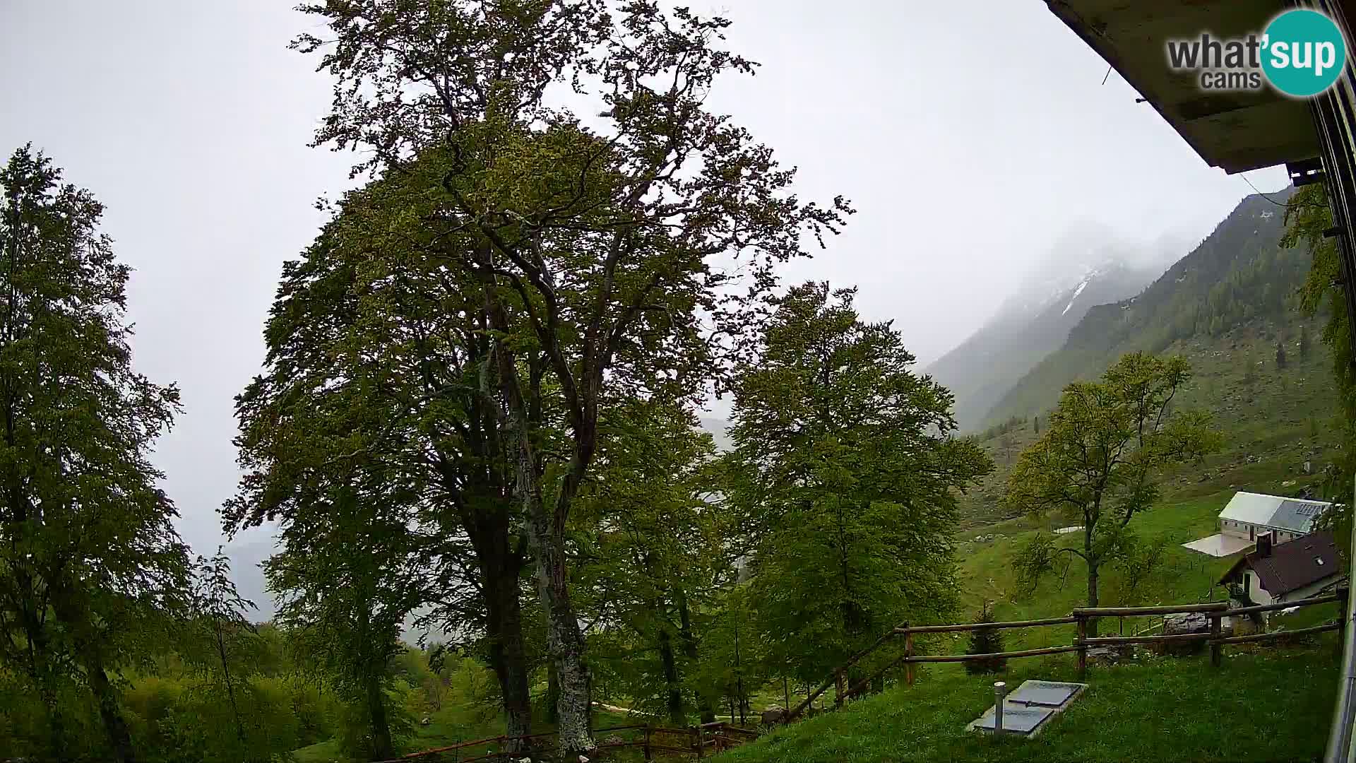 Planina Razor Bergütte Webcam (1315) | Blick auf Tolminski Migovec
