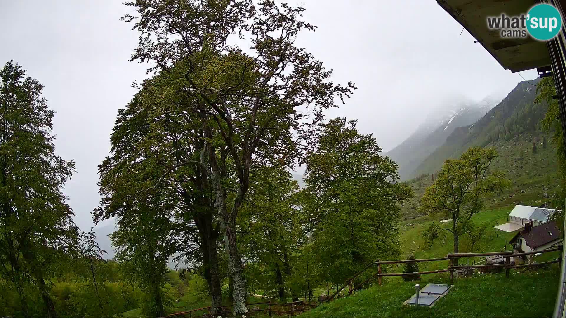Baita di montagna Planina Razor webcam (1315) | vista su Tolminski Migovec
