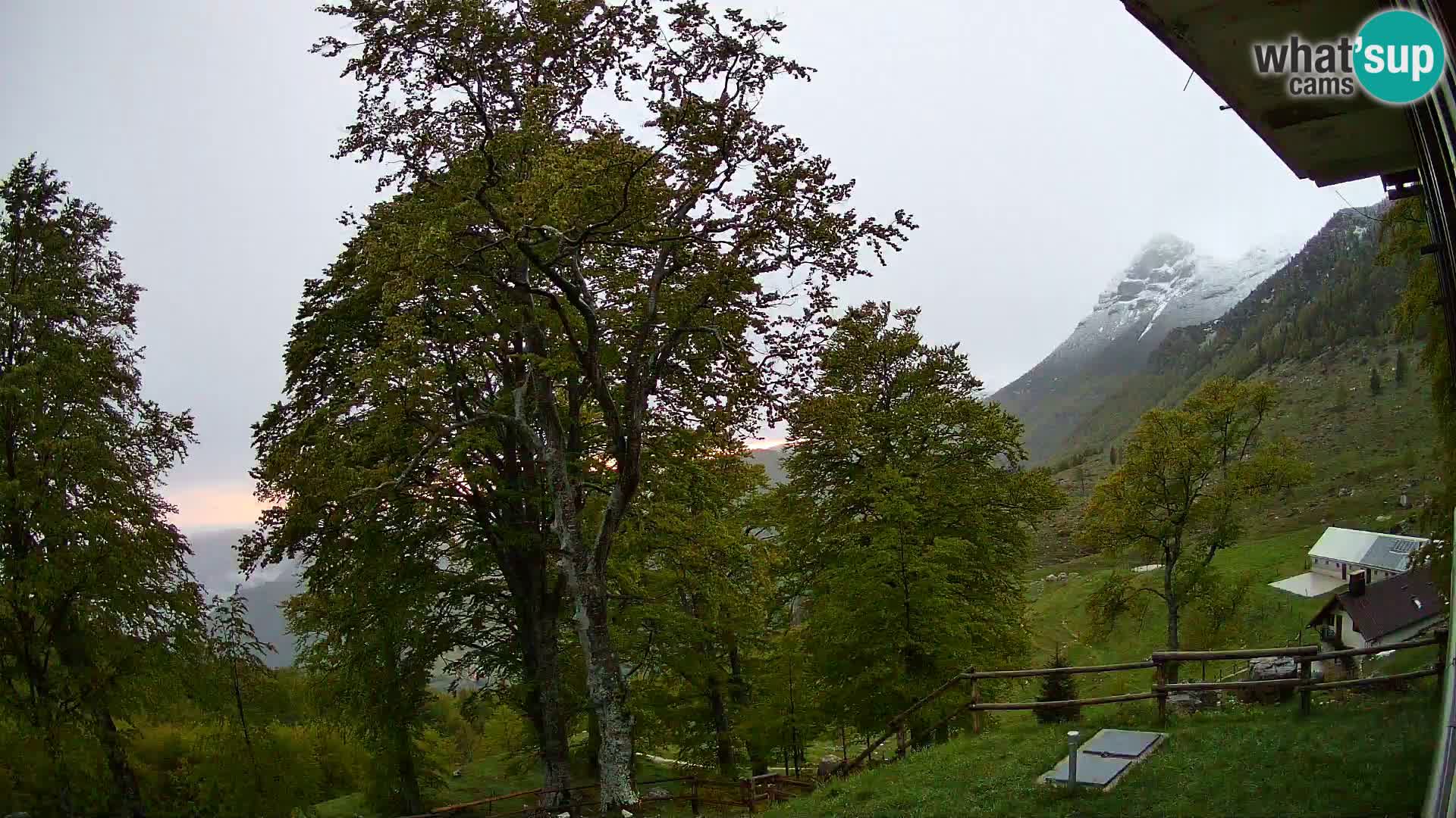 Baita di montagna Planina Razor webcam (1315) | vista su Tolminski Migovec