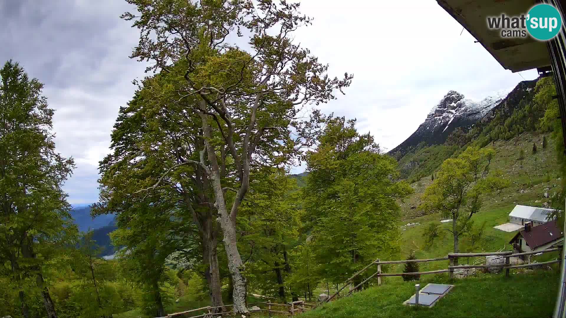 Cámara en vivo de la cabaña de montaña Planina Razor (1315) | vista hacia Tolminski Migovec