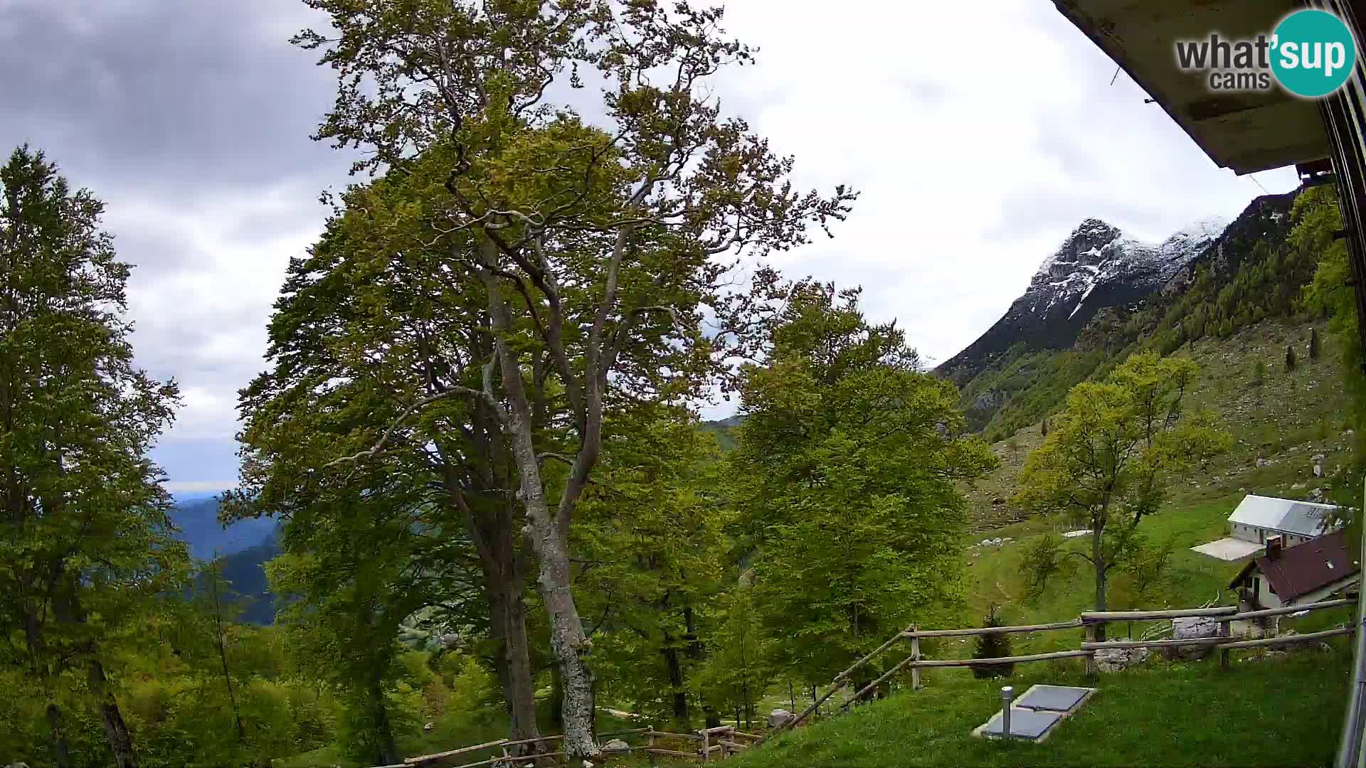 Cámara en vivo de la cabaña de montaña Planina Razor (1315) | vista hacia Tolminski Migovec