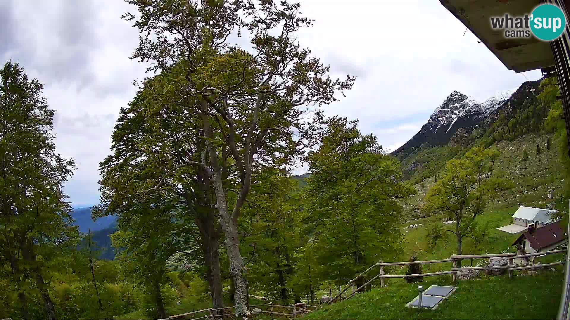 Cámara en vivo de la cabaña de montaña Planina Razor (1315) | vista hacia Tolminski Migovec