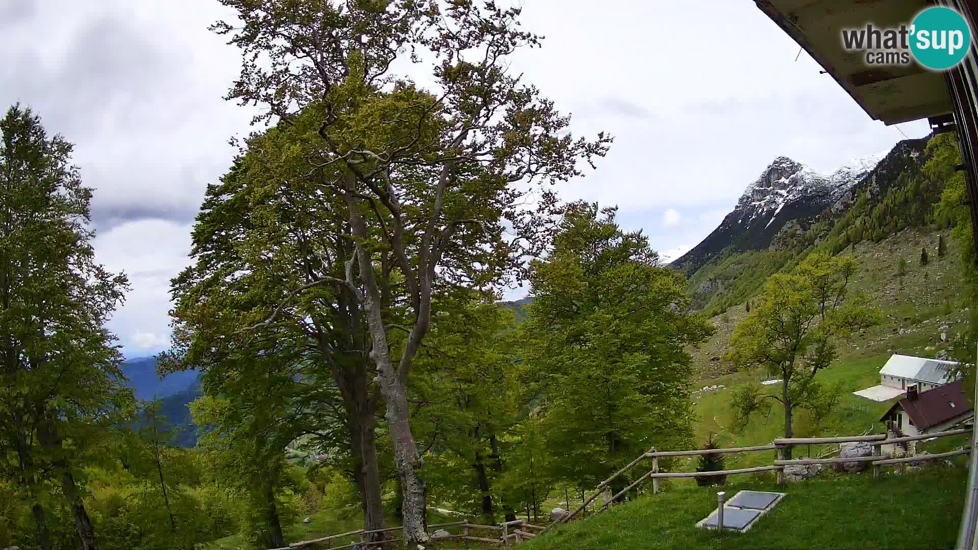 Planina Razor Bergütte Webcam (1315) | Blick auf Tolminski Migovec