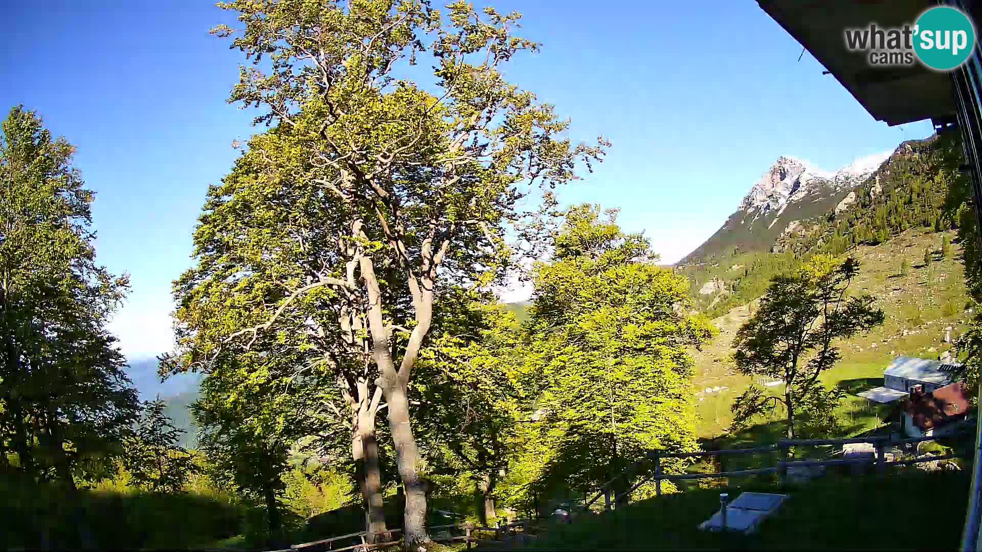 Planina Razor Mountain Hut live cam (1315) | view to Tolminski Migovec