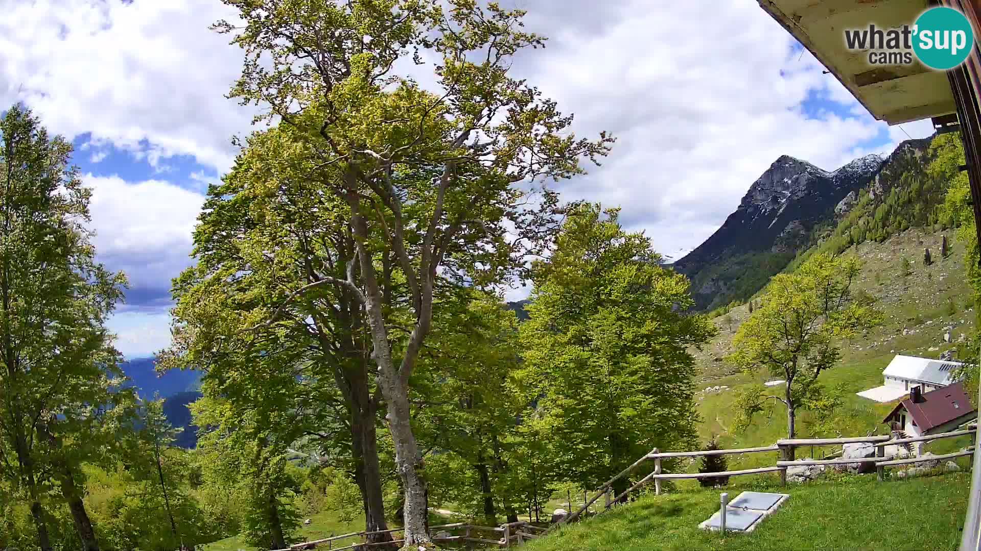 Refuge de la montagne Planina Razor caméra en direct (1315) | vue sur Tolminski Migovec