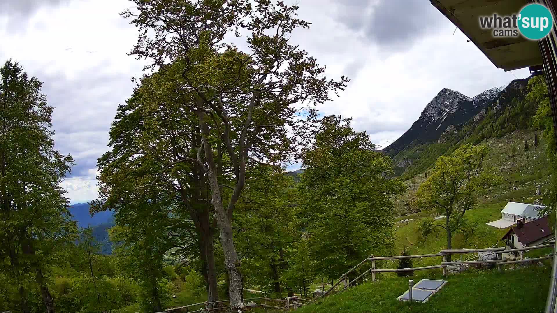 Planina Razor Mountain Hut live cam (1315) | view to Tolminski Migovec