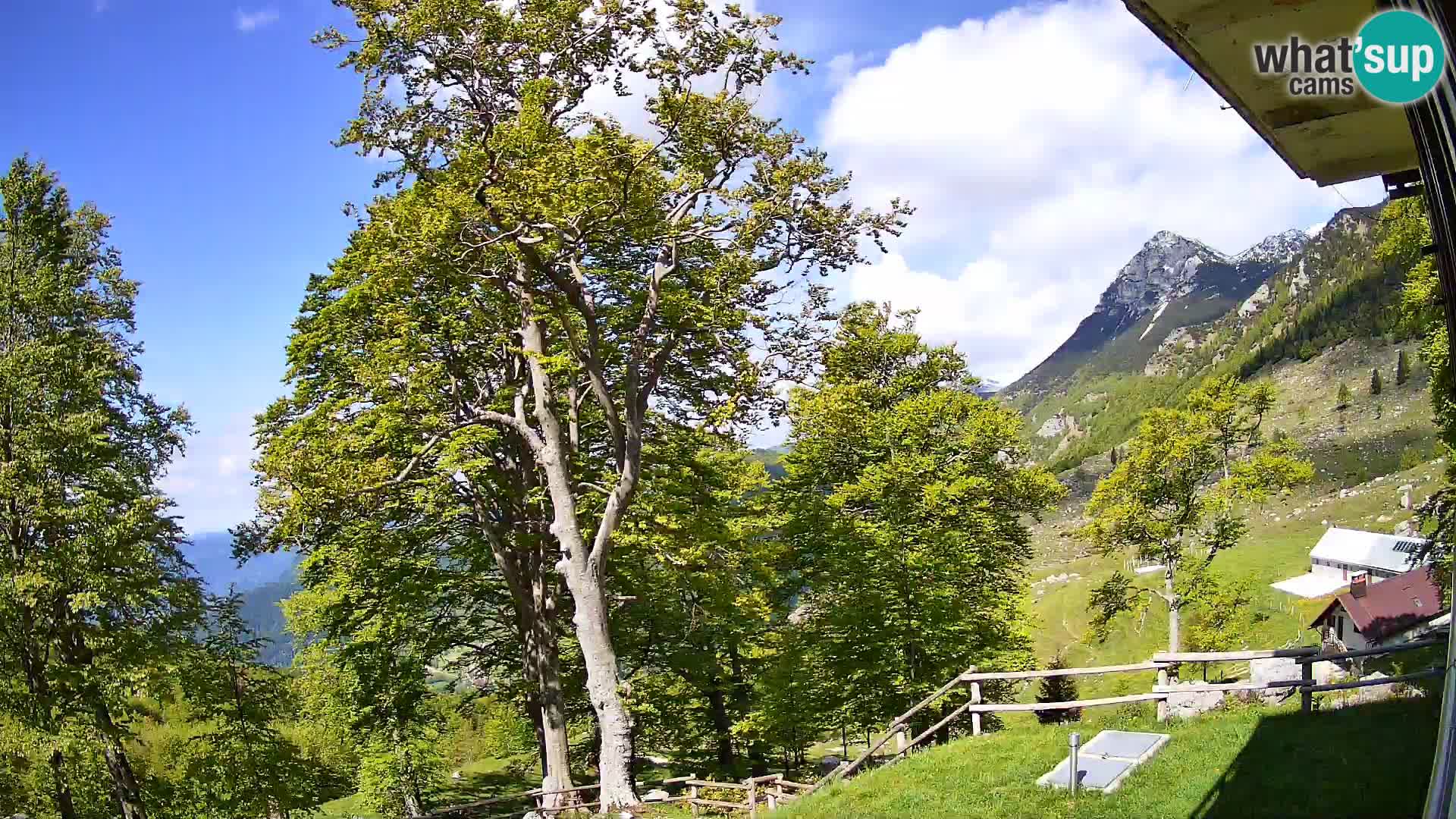 Baita di montagna Planina Razor webcam (1315) | vista su Tolminski Migovec
