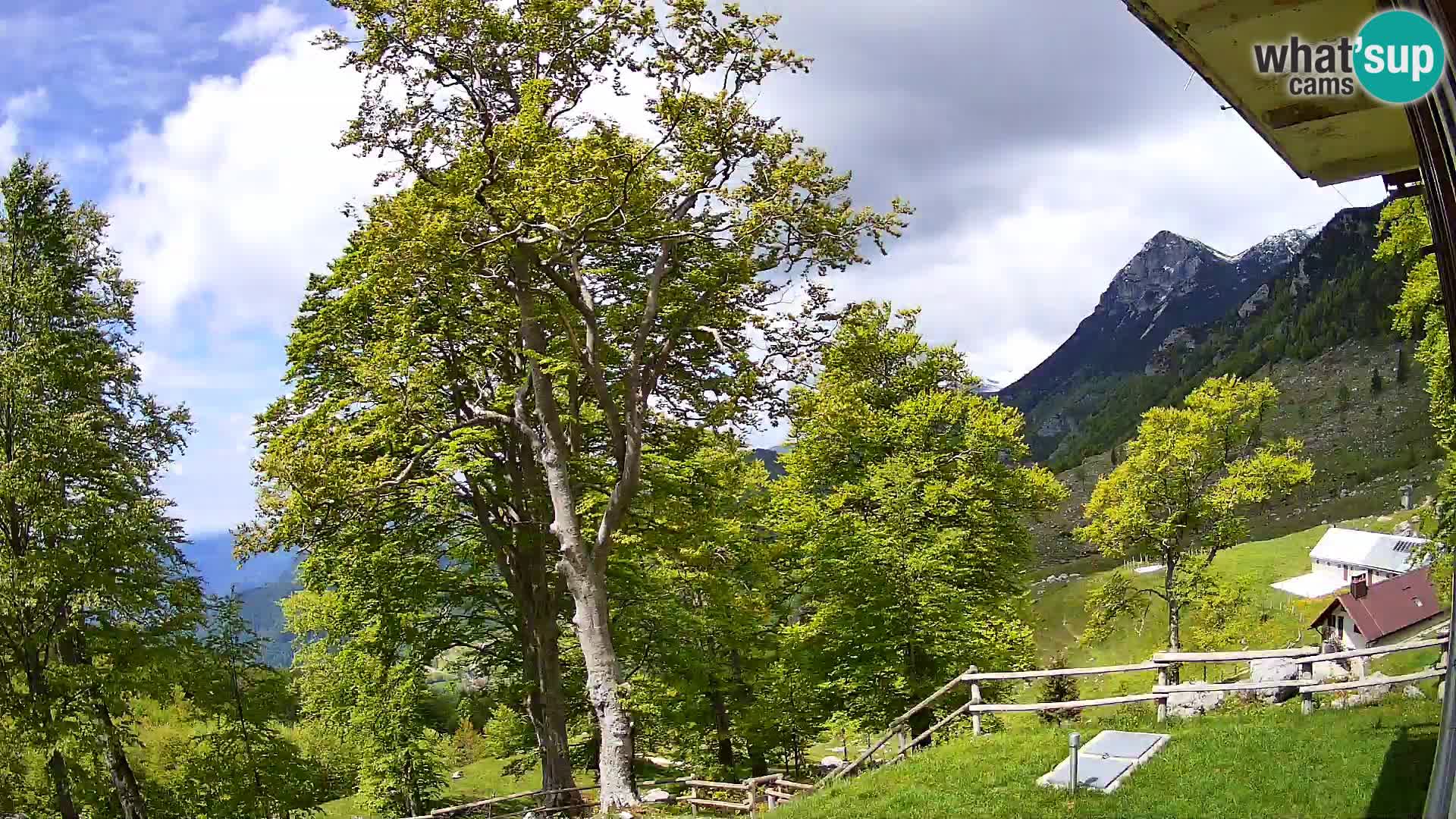 Refuge de la montagne Planina Razor caméra en direct (1315) | vue sur Tolminski Migovec