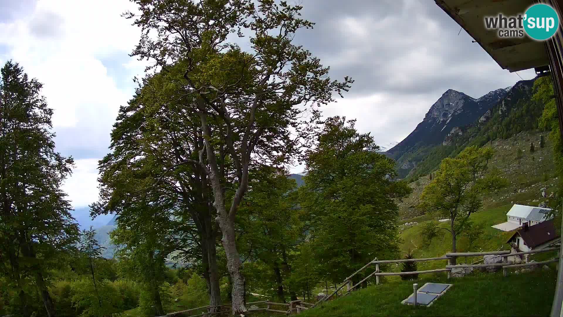 Planina Razor Bergütte Webcam (1315) | Blick auf Tolminski Migovec