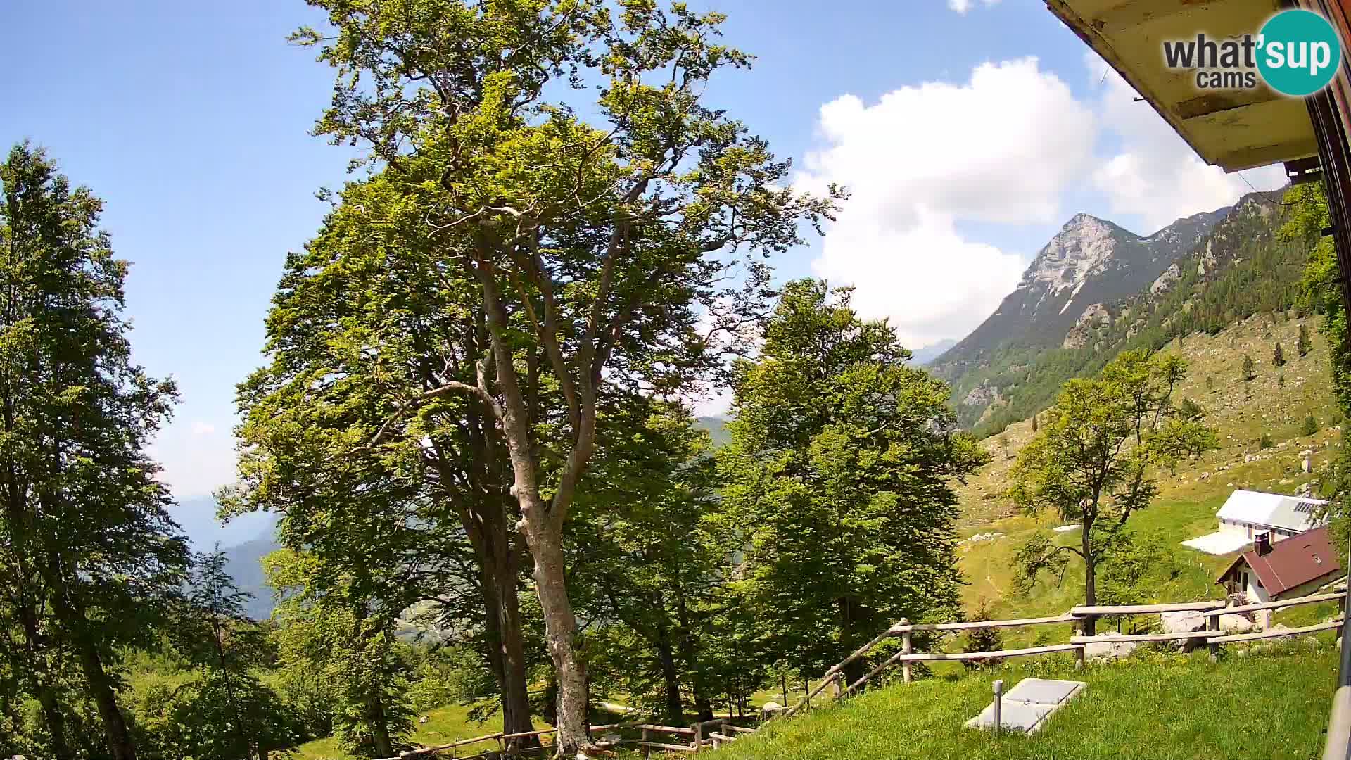 Planina Razor Bergütte Webcam (1315) | Blick auf Tolminski Migovec