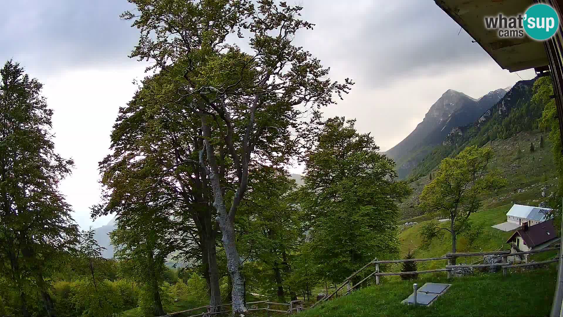 Baita di montagna Planina Razor webcam (1315) | vista su Tolminski Migovec