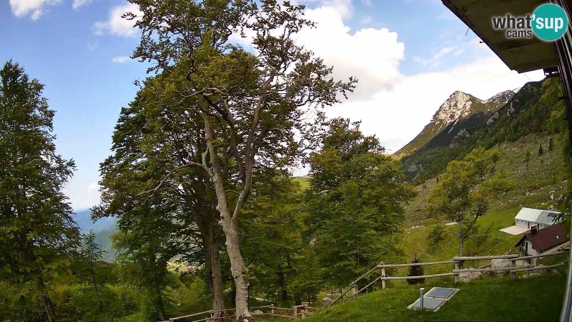 Planina Razor Mountain Hut live cam (1315) | view to Tolminski Migovec