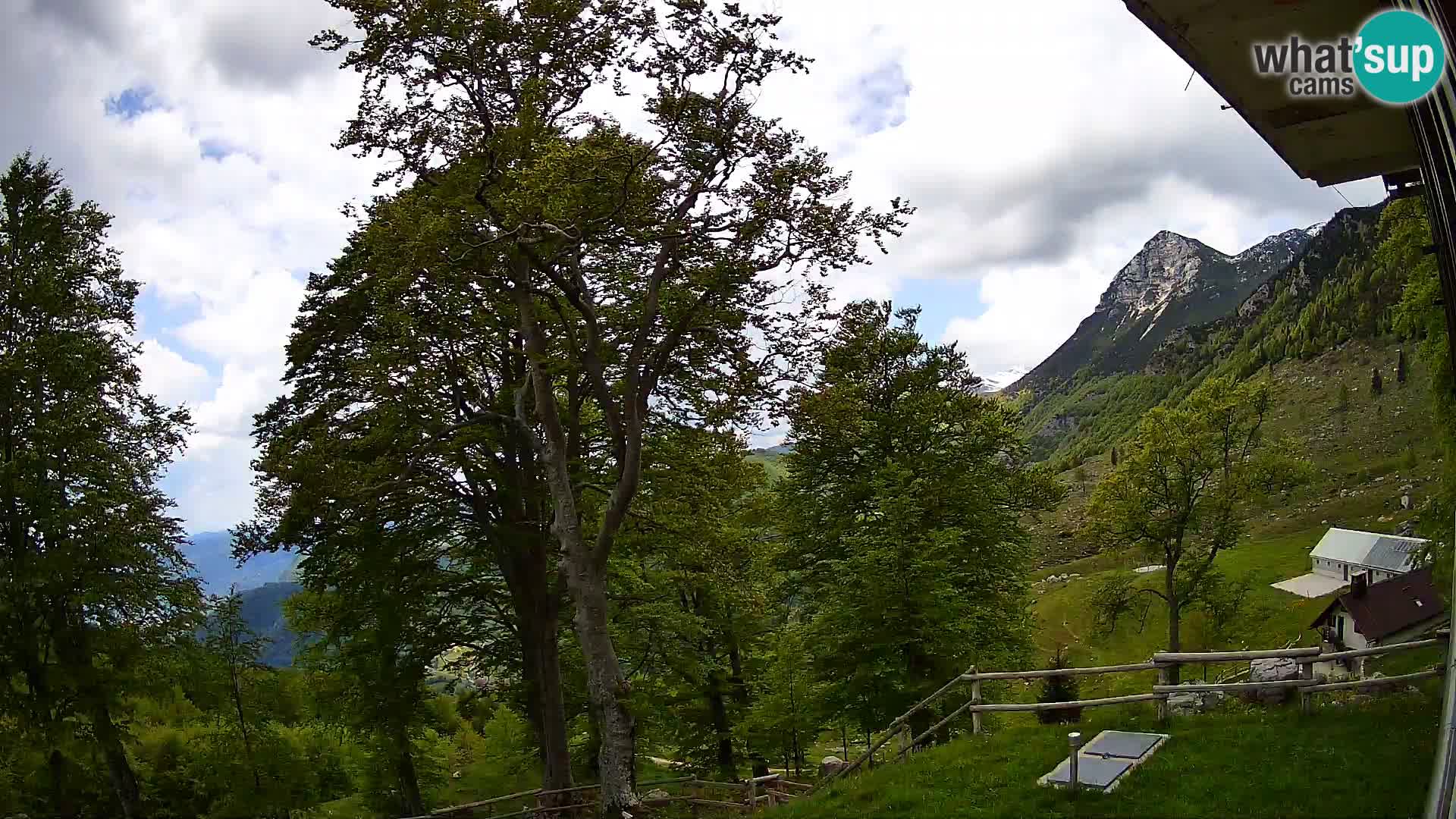 Cámara en vivo de la cabaña de montaña Planina Razor (1315) | vista hacia Tolminski Migovec