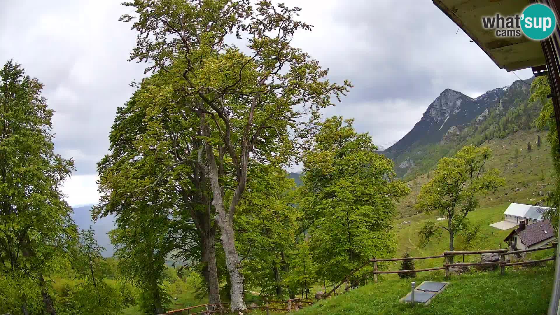 Planina Razor Mountain Hut live cam (1315) | view to Tolminski Migovec