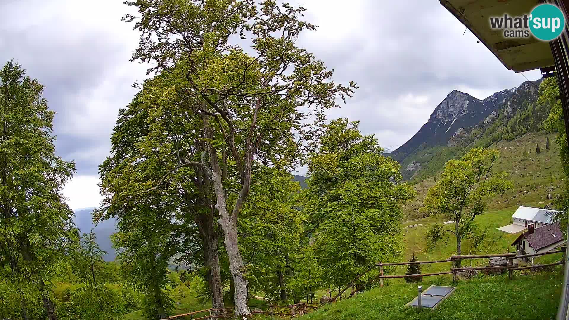 Baita di montagna Planina Razor webcam (1315) | vista su Tolminski Migovec