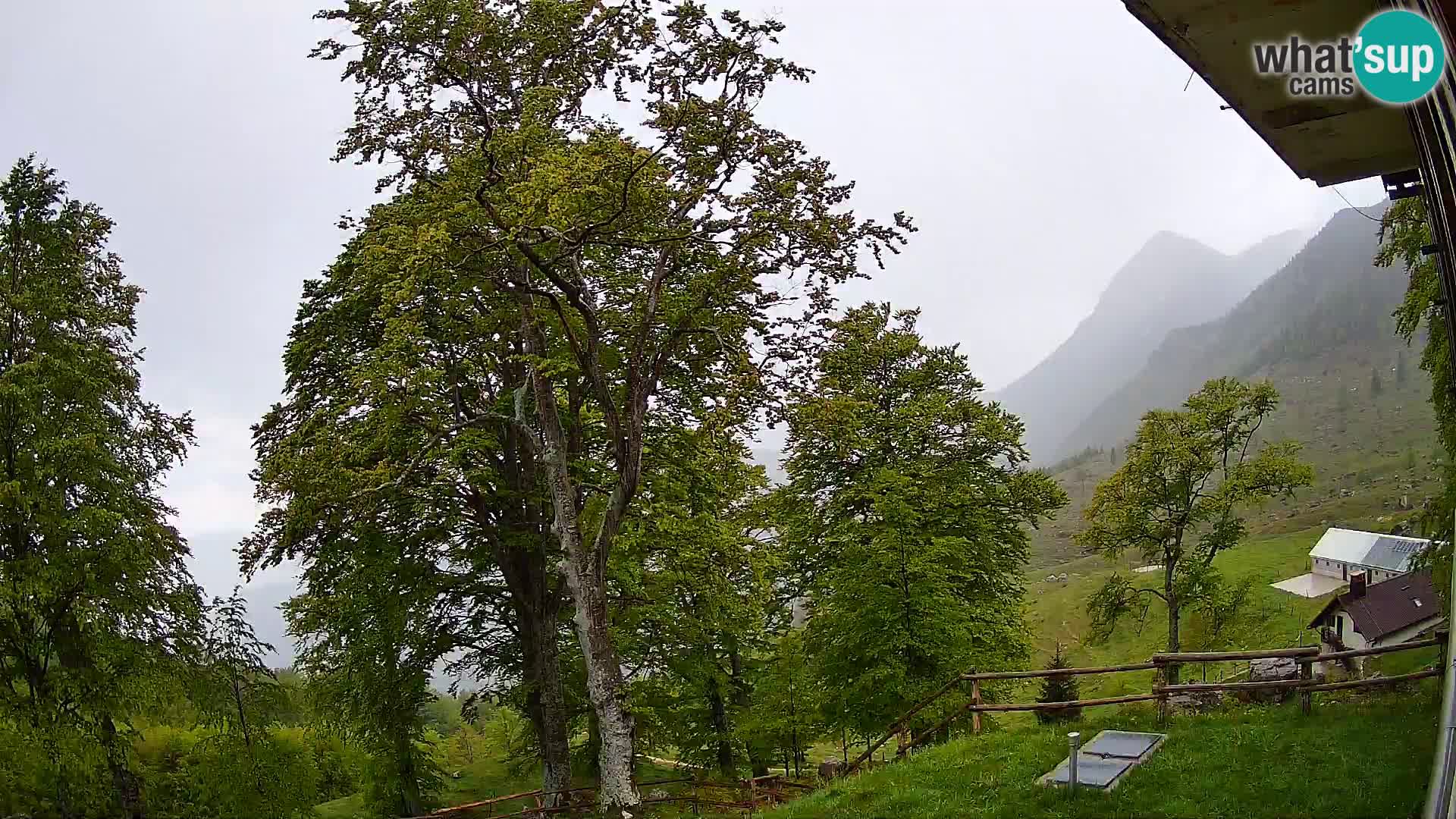Refuge de la montagne Planina Razor caméra en direct (1315) | vue sur Tolminski Migovec