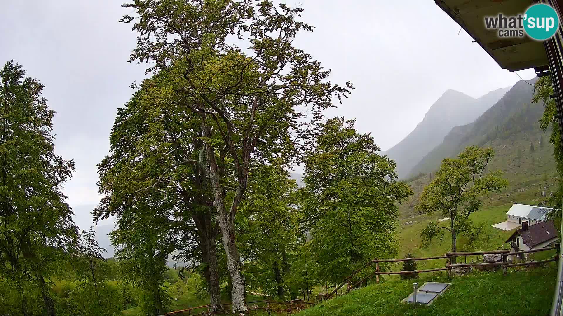 Refuge de la montagne Planina Razor caméra en direct (1315) | vue sur Tolminski Migovec