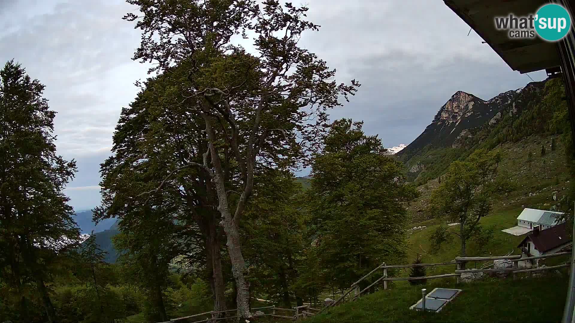 Planina Razor Bergütte Webcam (1315) | Blick auf Tolminski Migovec