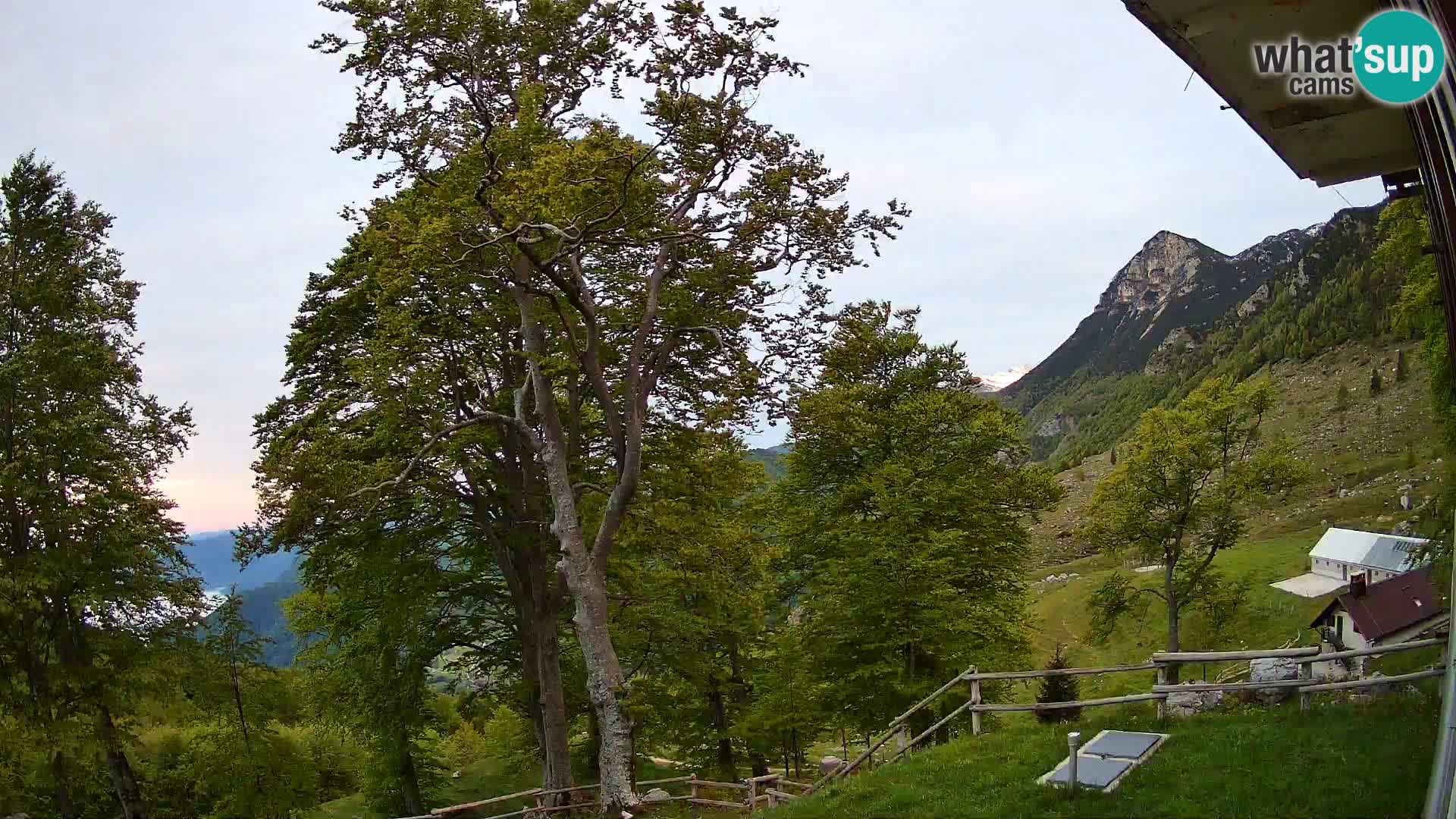 Planina Razor Mountain Hut live cam (1315) | view to Tolminski Migovec