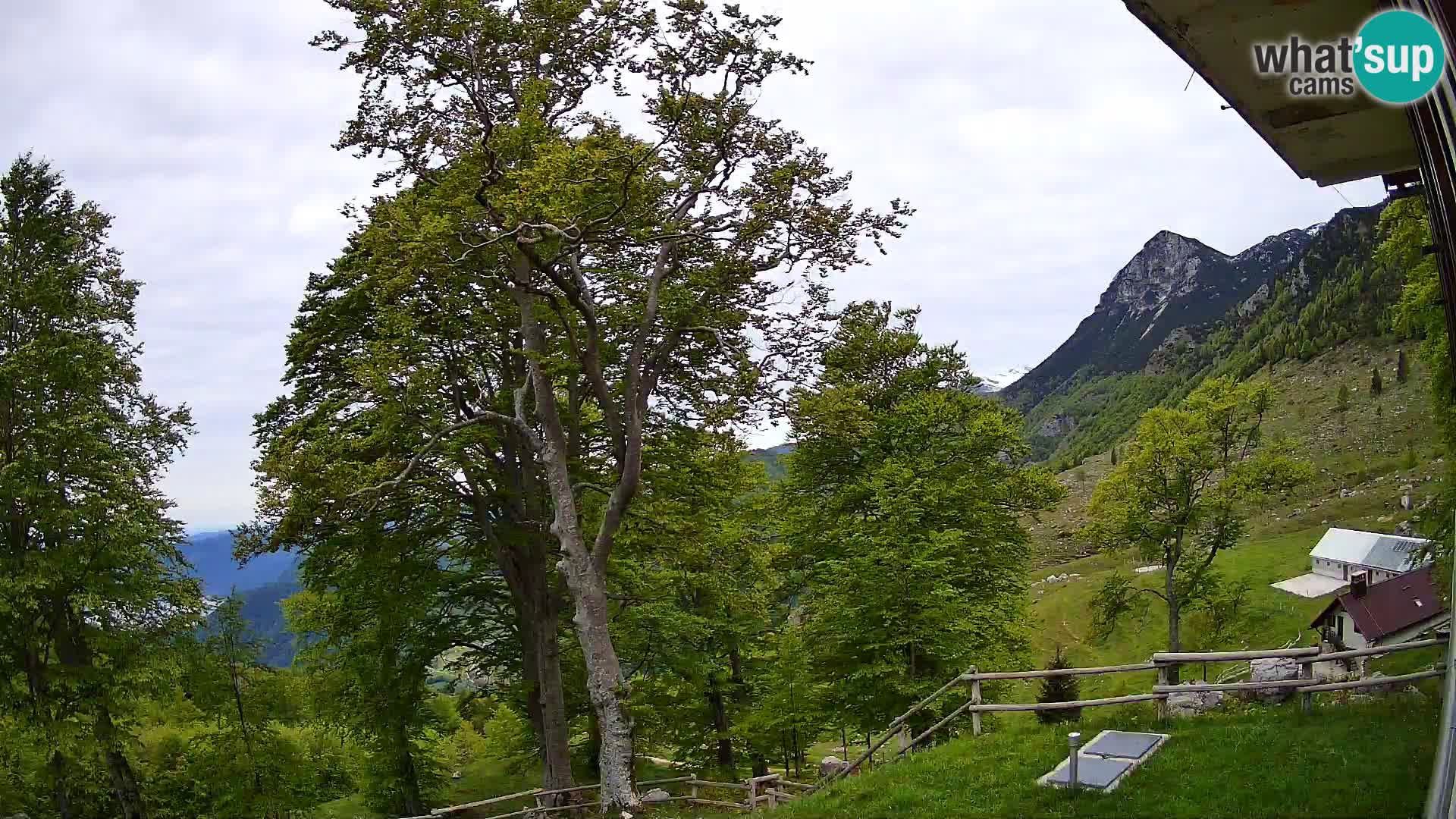 Planina Razor Mountain Hut live cam (1315) | view to Tolminski Migovec
