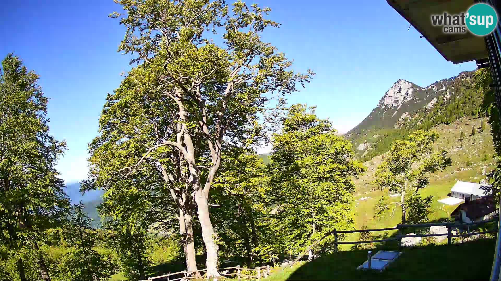 Baita di montagna Planina Razor webcam (1315) | vista su Tolminski Migovec