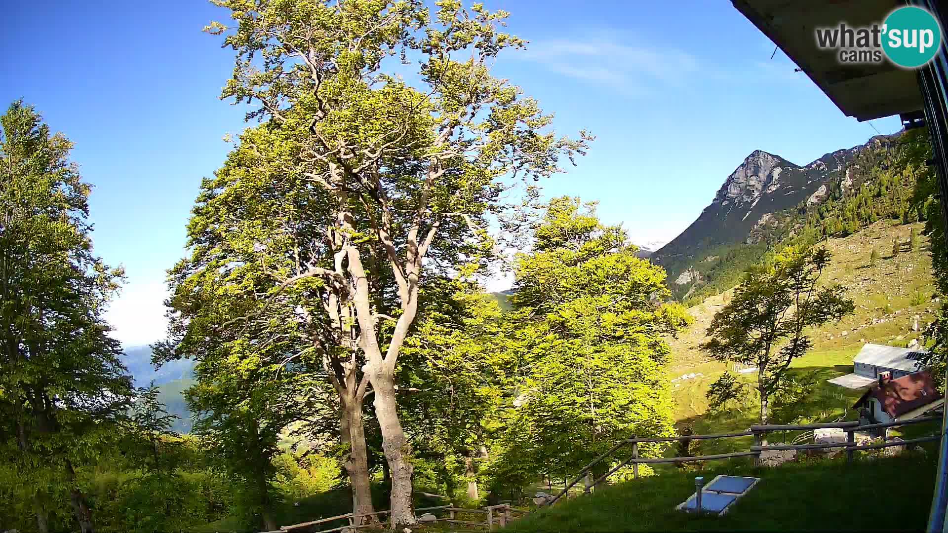 Planina Razor Bergütte Webcam (1315) | Blick auf Tolminski Migovec