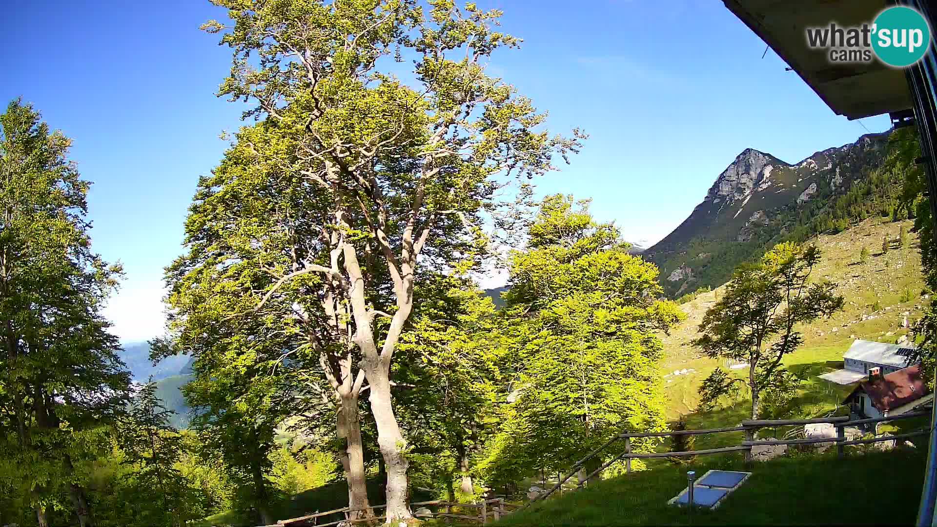Baita di montagna Planina Razor webcam (1315) | vista su Tolminski Migovec
