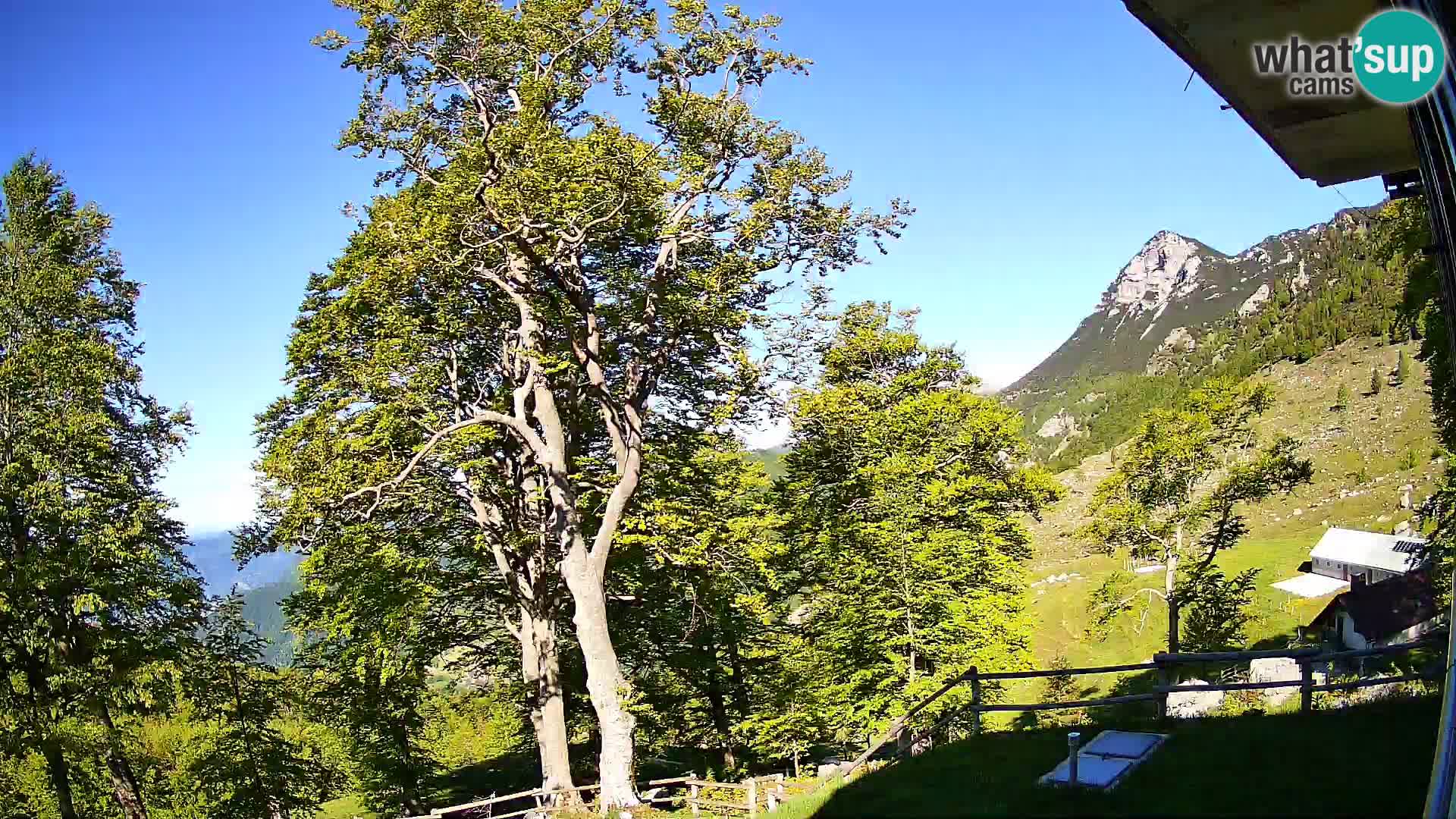 Planina Razor Mountain Hut live cam (1315) | view to Tolminski Migovec