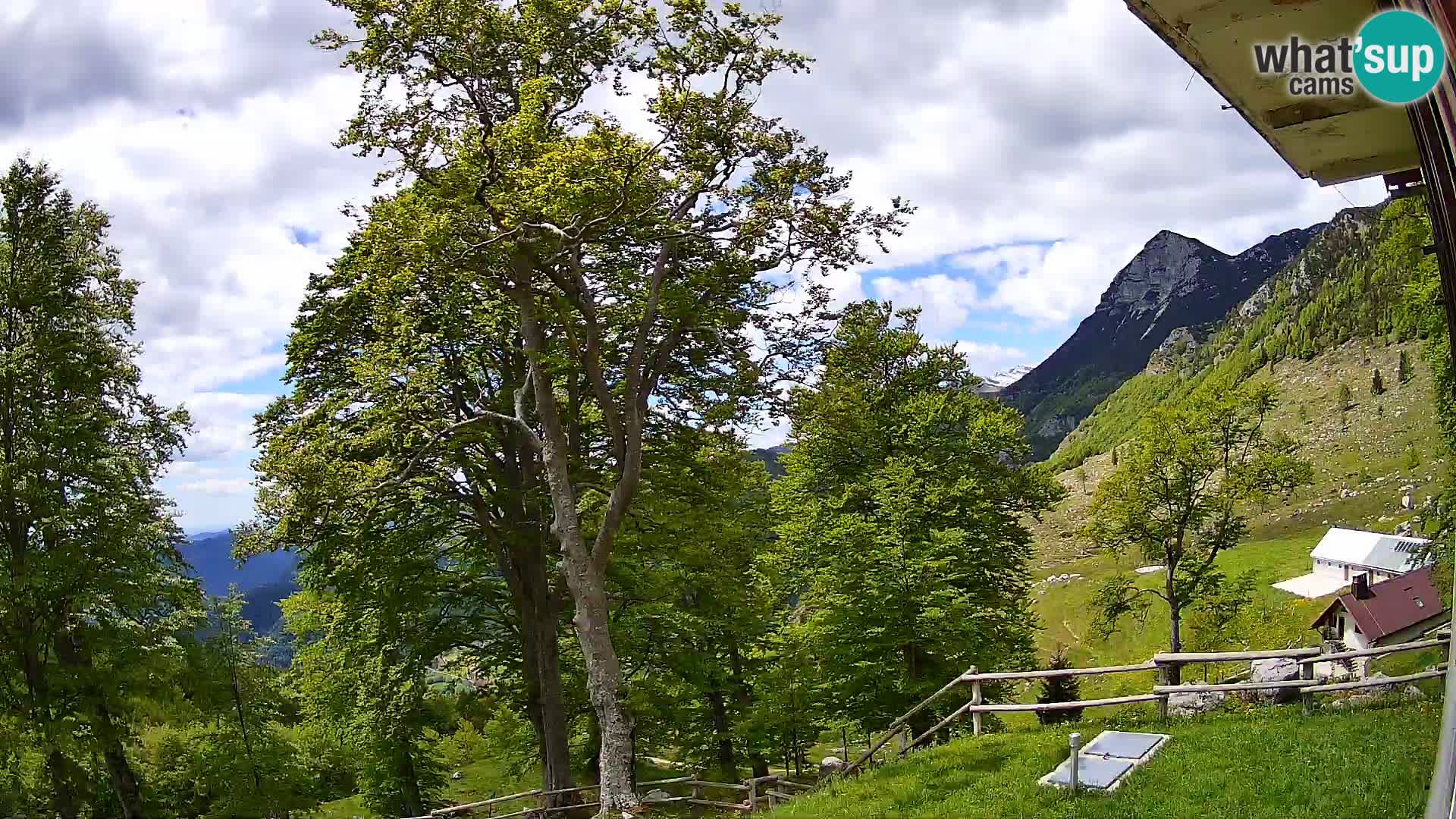 Planina Razor Mountain Hut live cam (1315) | view to Tolminski Migovec