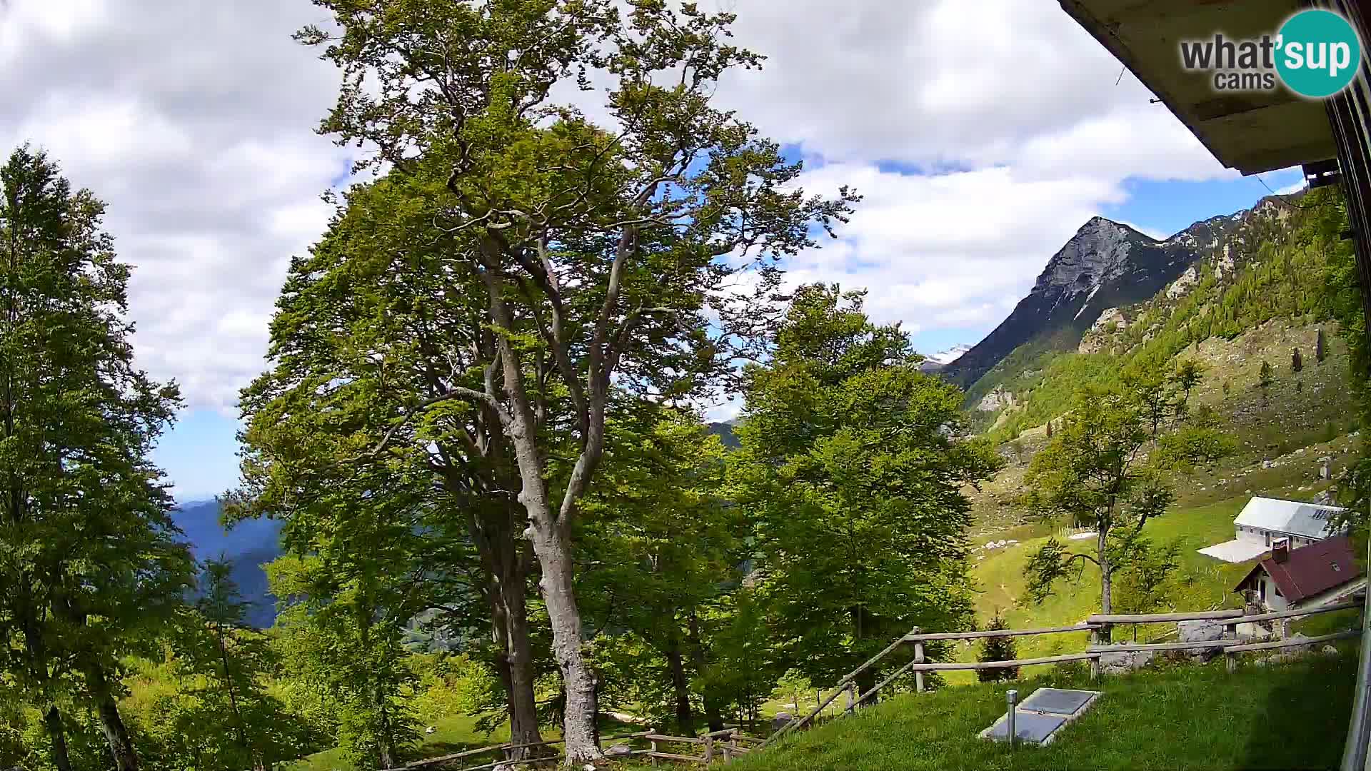 Planina Razor Mountain Hut live cam (1315) | view to Tolminski Migovec