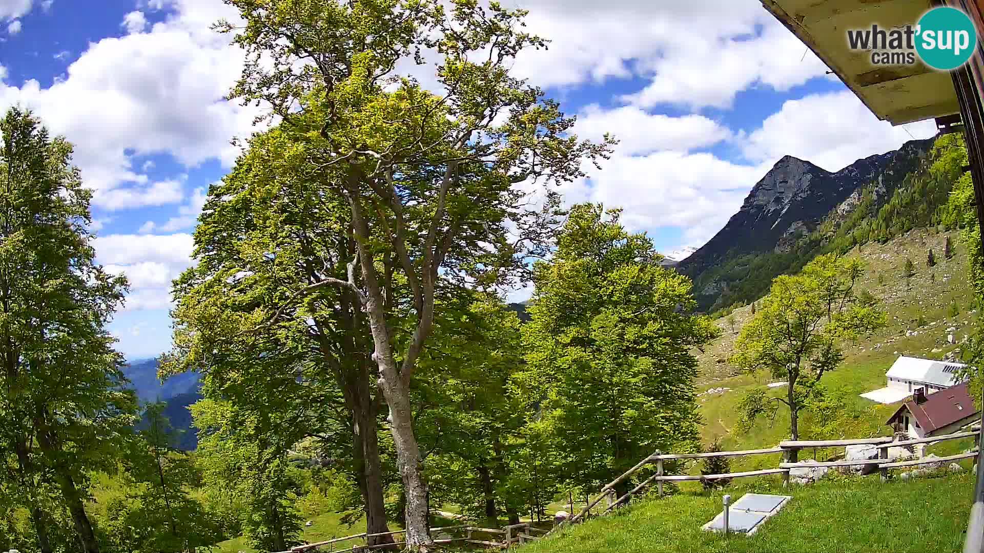 Refuge de la montagne Planina Razor caméra en direct (1315) | vue sur Tolminski Migovec