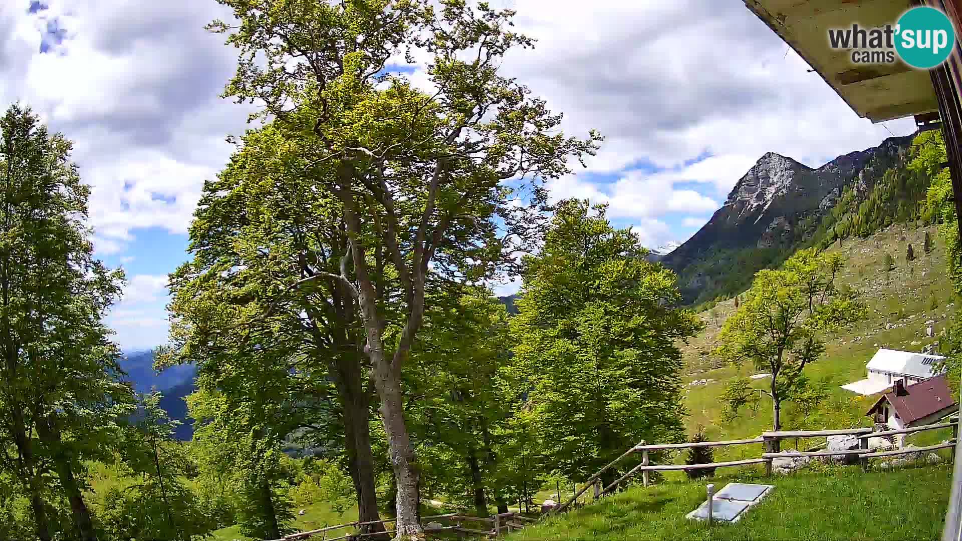 Refuge de la montagne Planina Razor caméra en direct (1315) | vue sur Tolminski Migovec