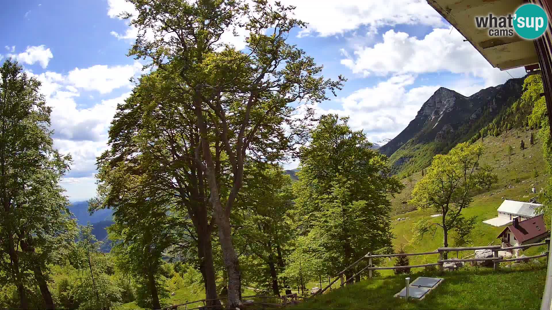Baita di montagna Planina Razor webcam (1315) | vista su Tolminski Migovec