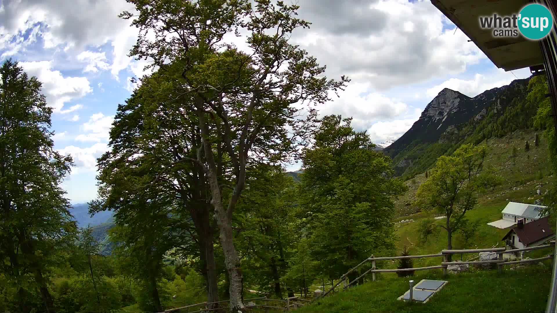 Baita di montagna Planina Razor webcam (1315) | vista su Tolminski Migovec