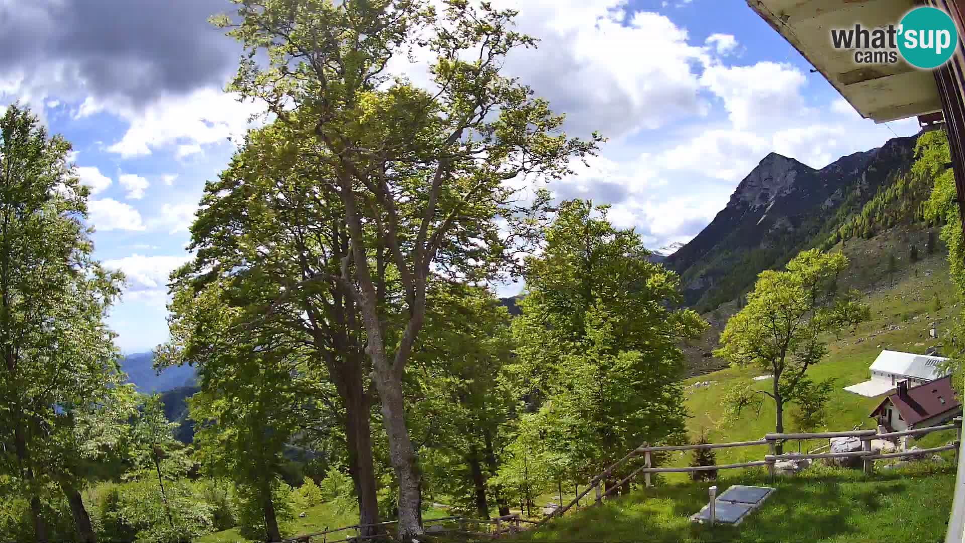 Planina Razor Bergütte Webcam (1315) | Blick auf Tolminski Migovec