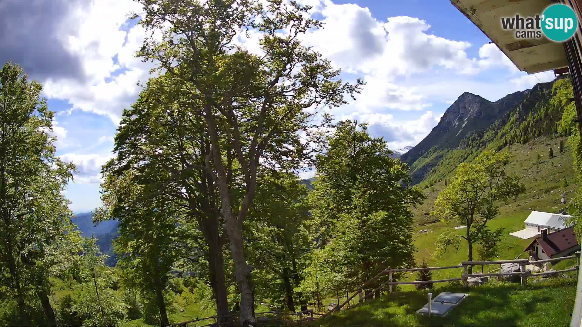 Baita di montagna Planina Razor webcam (1315) | vista su Tolminski Migovec