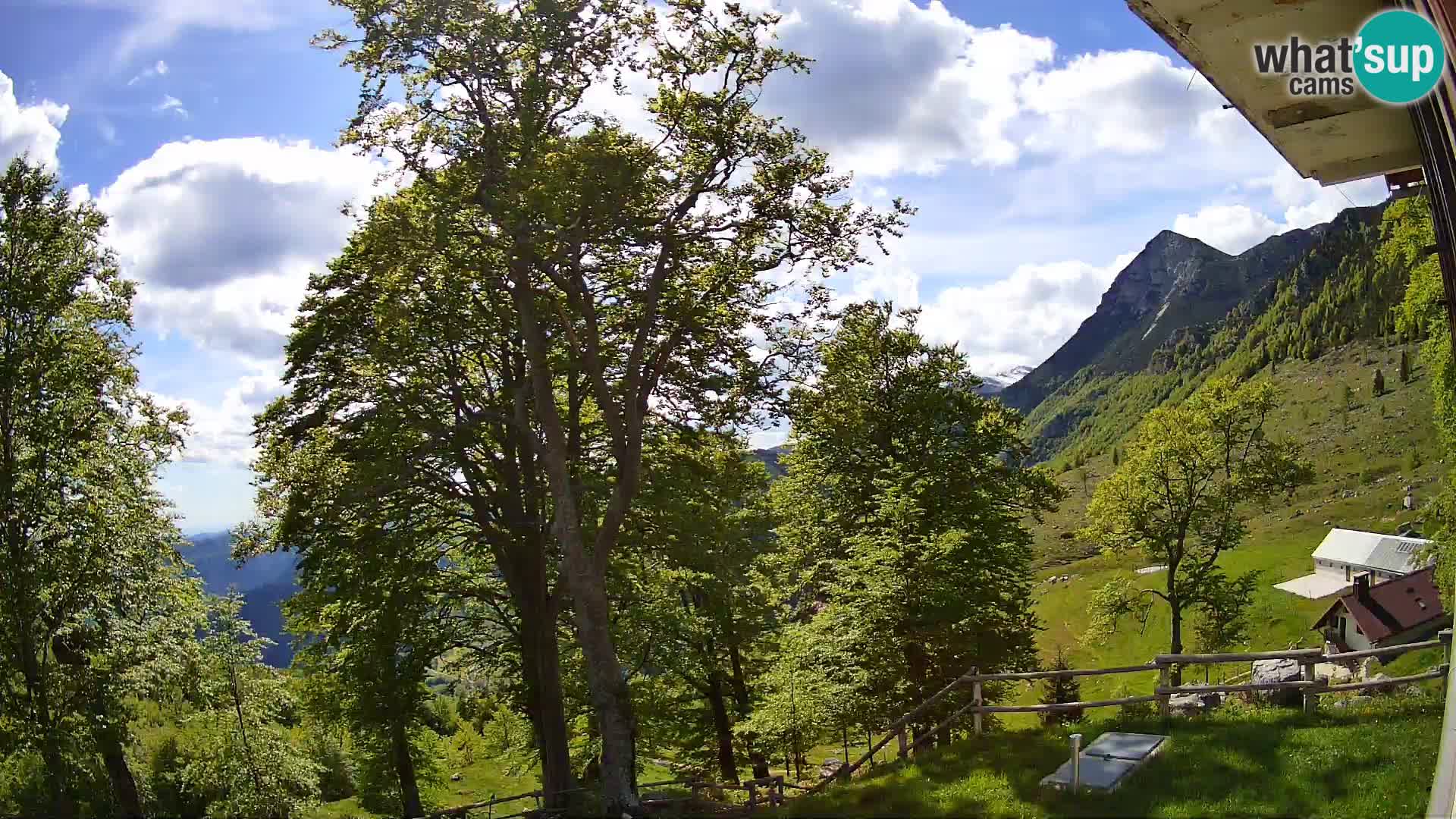 Planina Razor Bergütte Webcam (1315) | Blick auf Tolminski Migovec