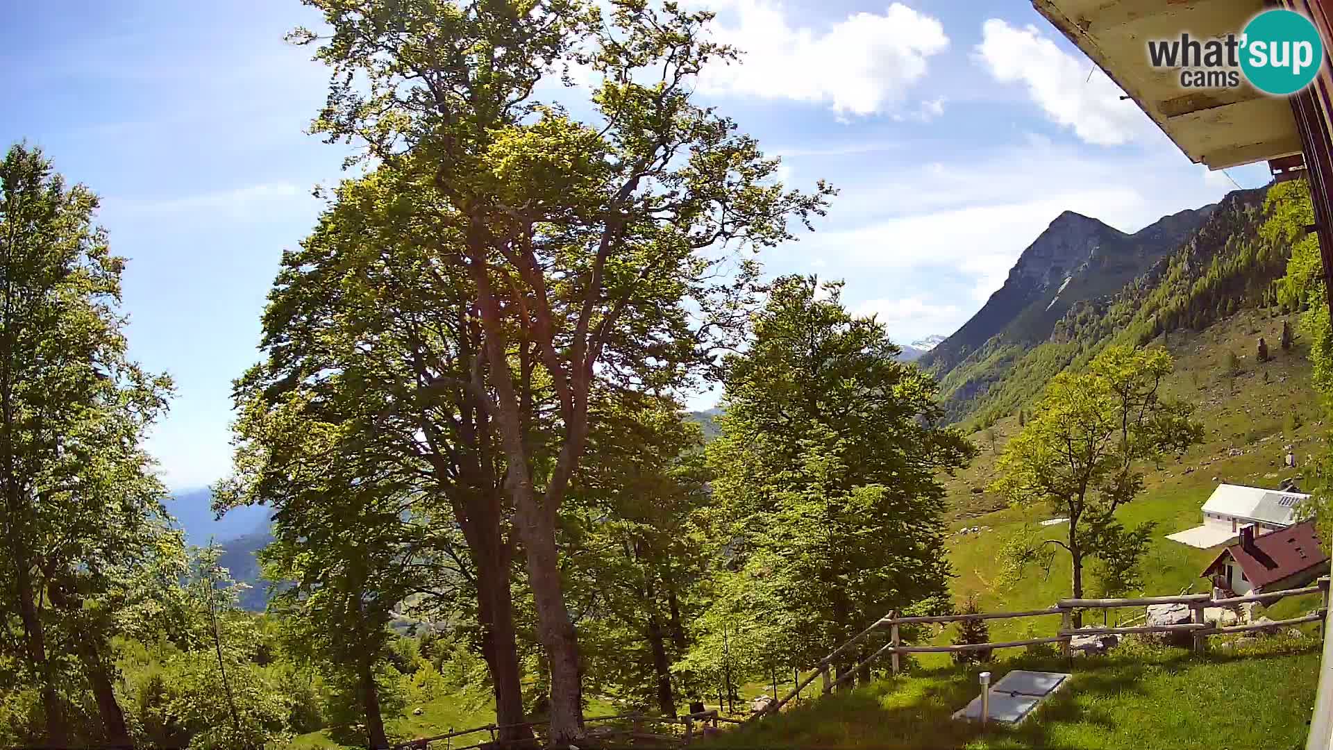 Planina Razor Bergütte Webcam (1315) | Blick auf Tolminski Migovec