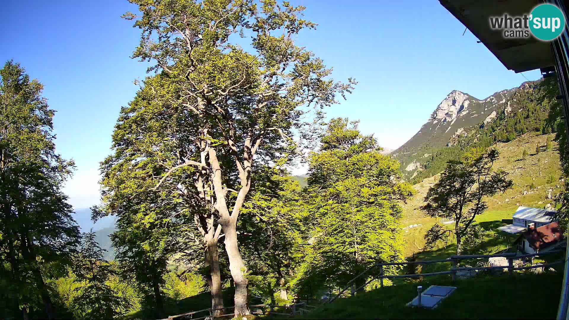 Cámara en vivo de la cabaña de montaña Planina Razor (1315) | vista hacia Tolminski Migovec