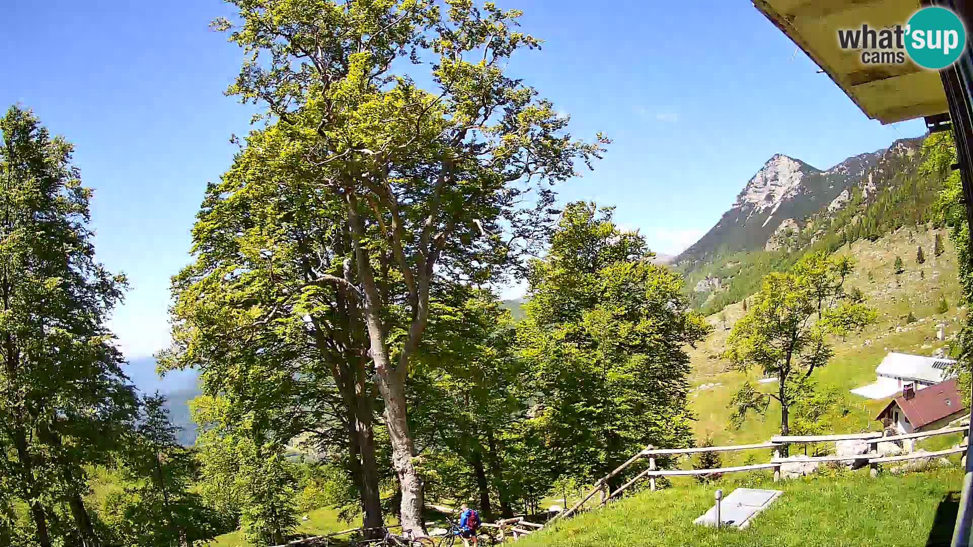 Planina Razor Mountain Hut live cam (1315) | view to Tolminski Migovec