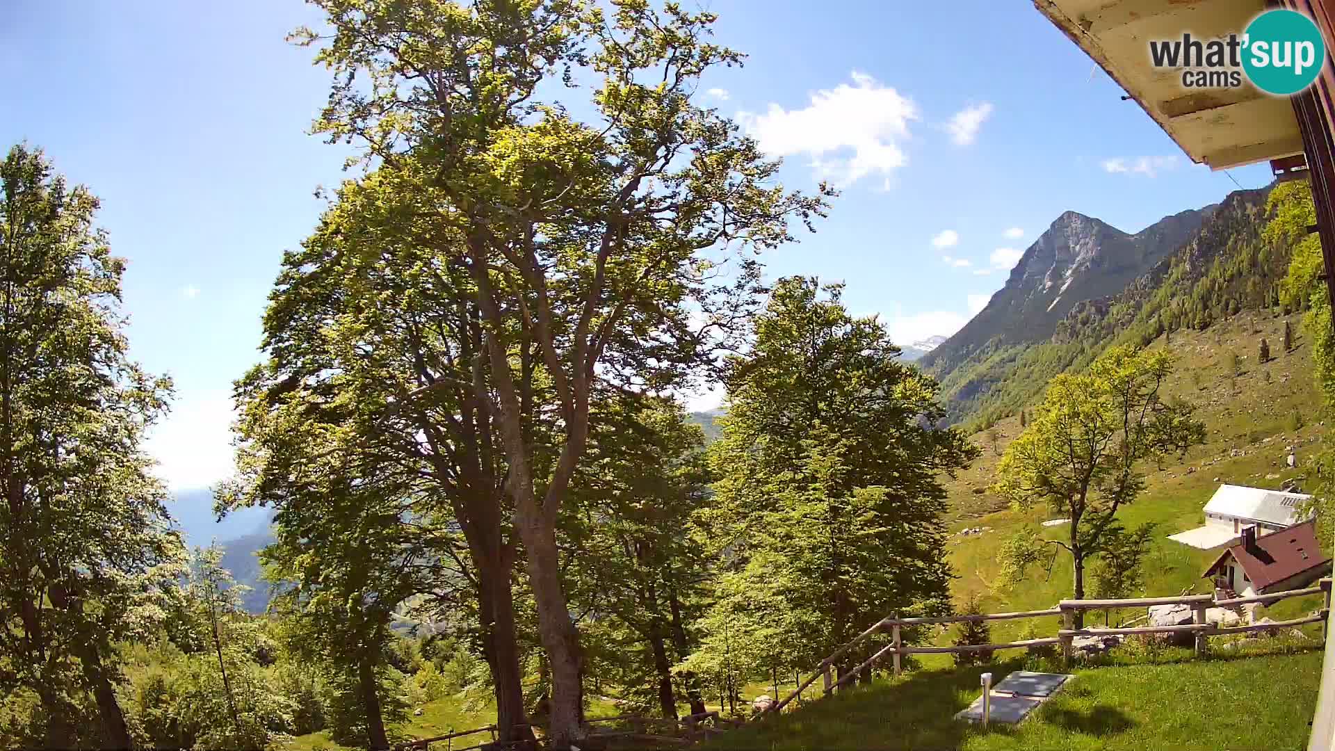 Planina Razor Mountain Hut live cam (1315) | view to Tolminski Migovec